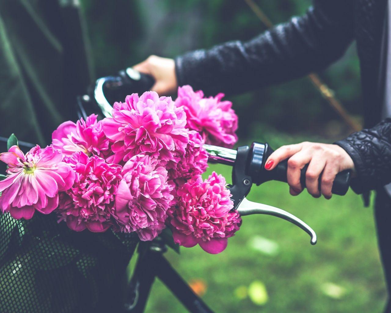 Flowers Peonies Bicycle Hand wallpaper. Flowers Peonies Bicycle