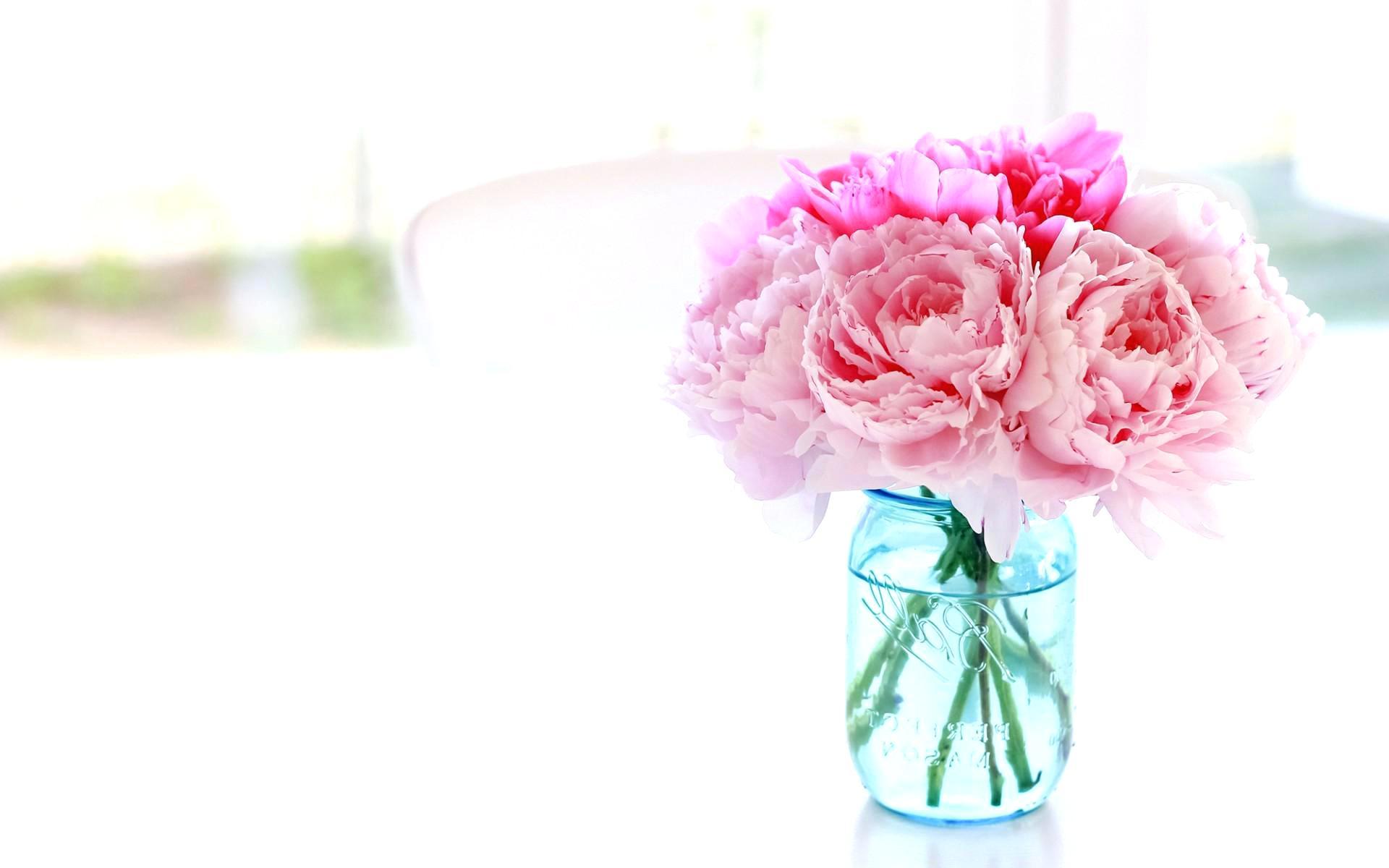 Pink Peonies Wallpaper 6 Wallpaper