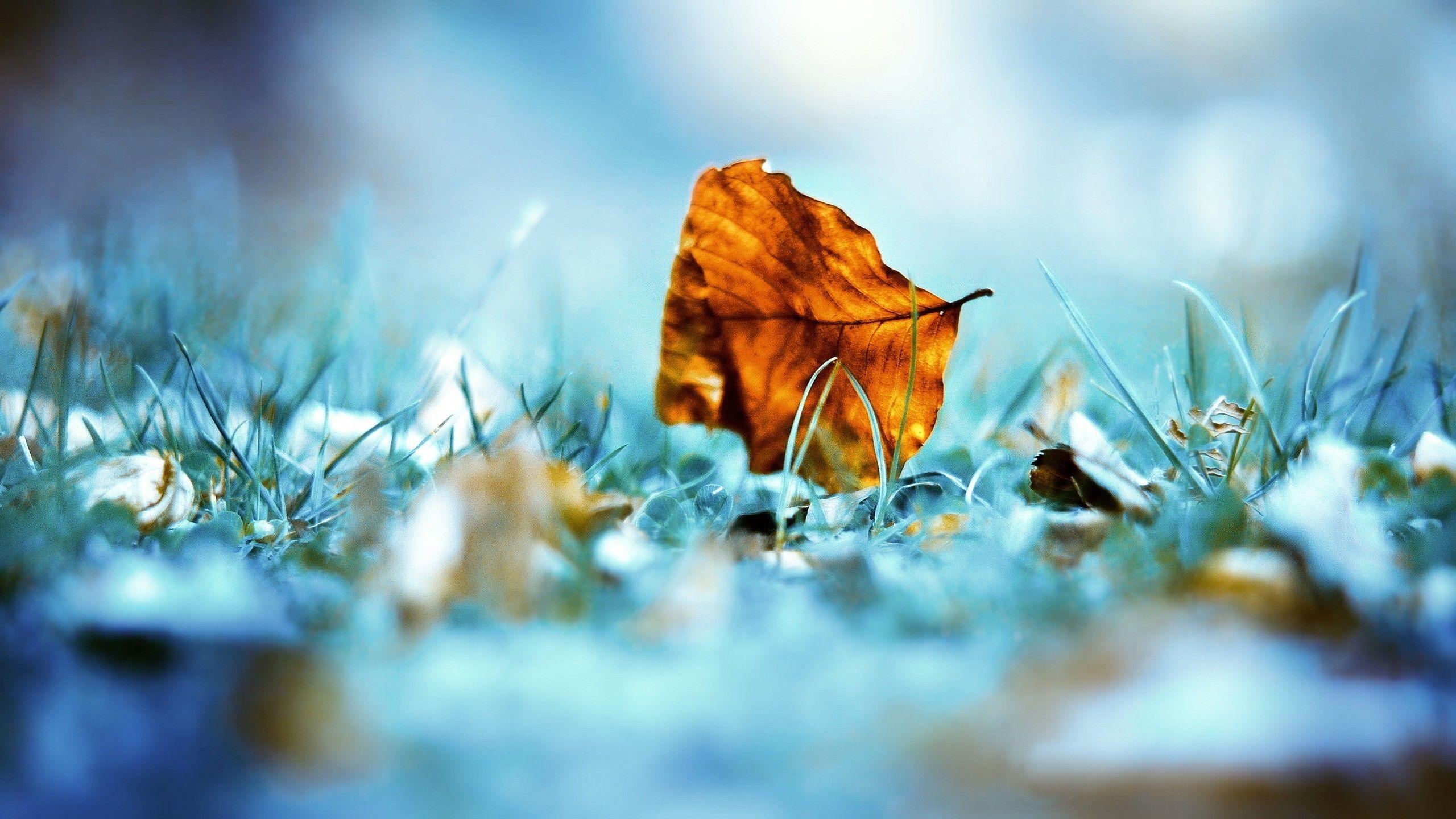 Unique wallpaperDownload free beautiful HD wallpaper