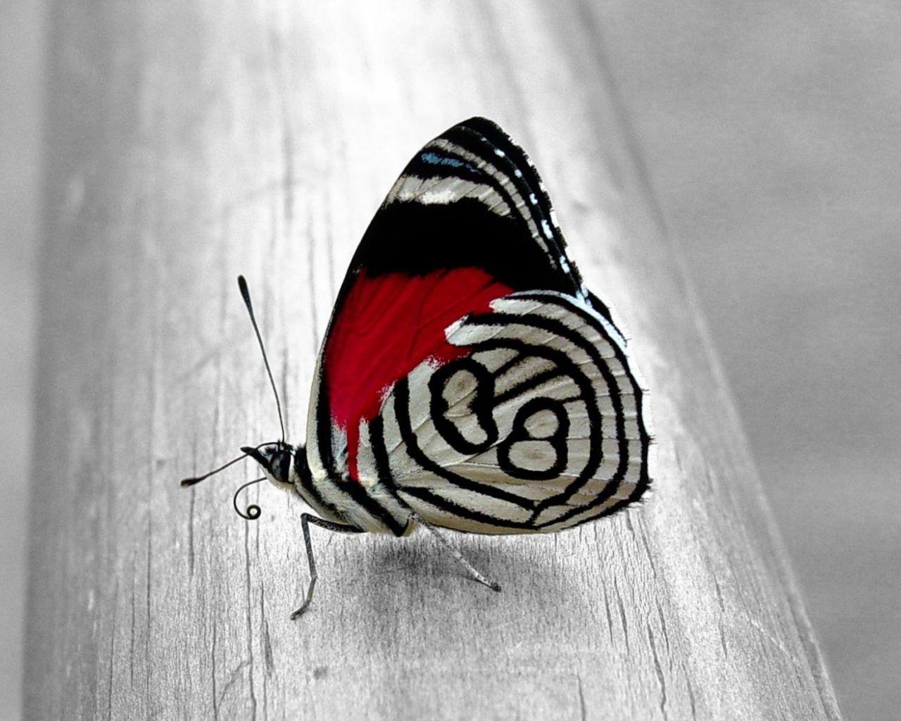 Unique Wallpaper