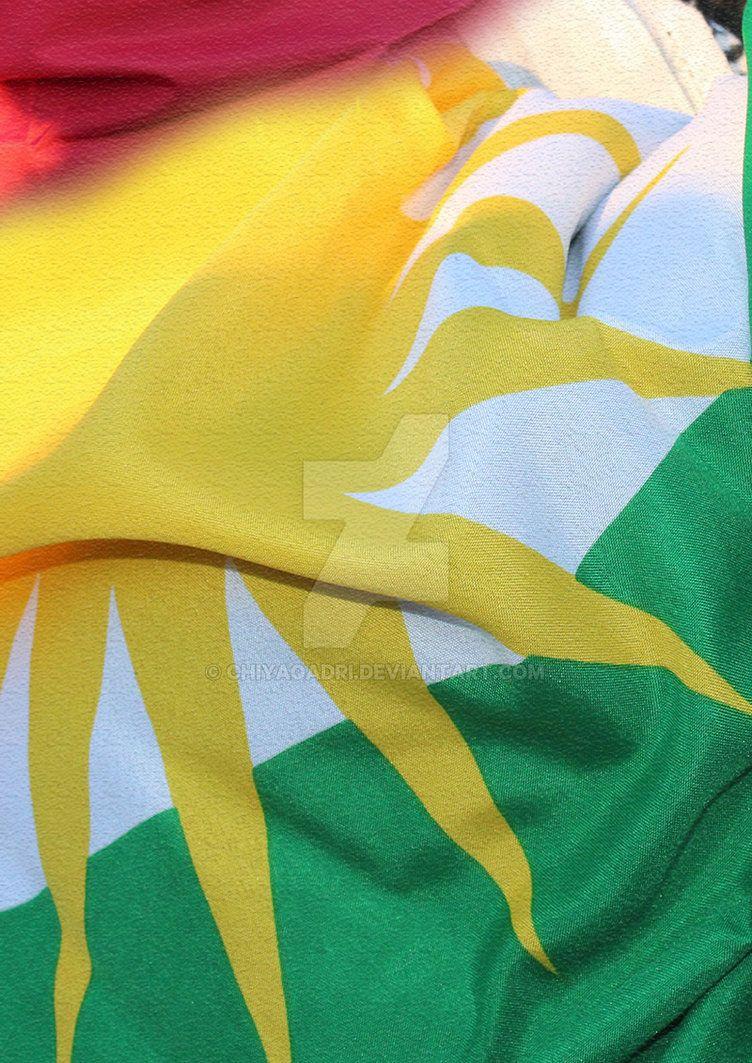 Kurdistan flag wallpaper for phone