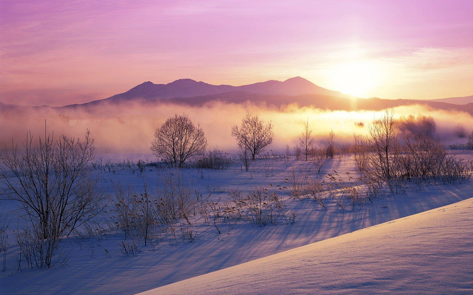 雪うさぎ (Snowy dawn landscape near Hokkaido, Japan)