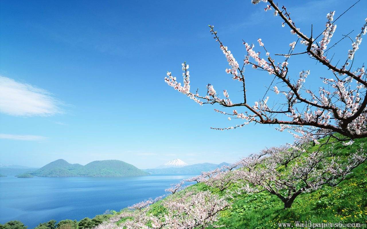 Nature And Tourism Of Hokkaido － Landscape Wallpaper Free