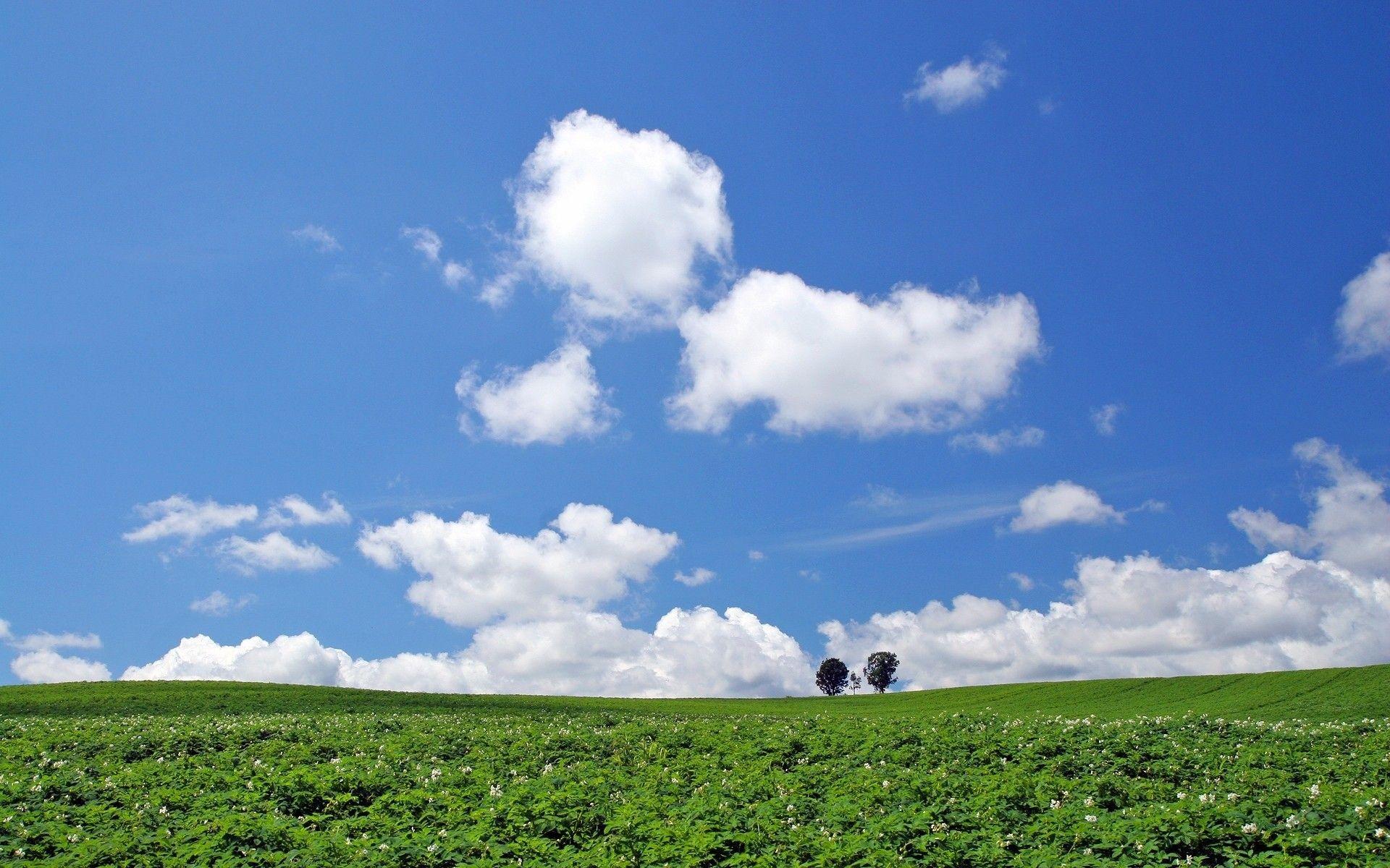 Landscape, Hokkaido, Japan. Android wallpaper for free