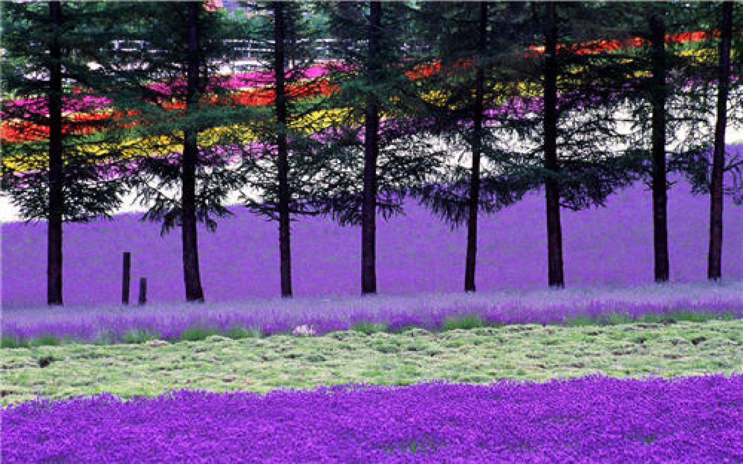Hokkaido Wallpaper #T3XN5I9 (500x333)