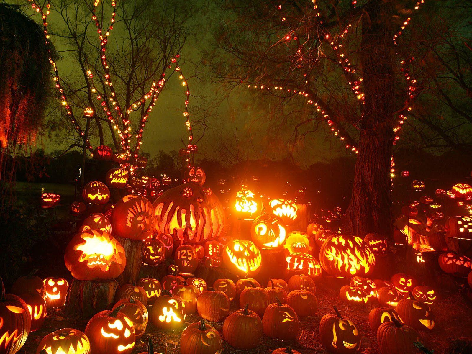 Halloween Wallpaper and Background Imagex1200