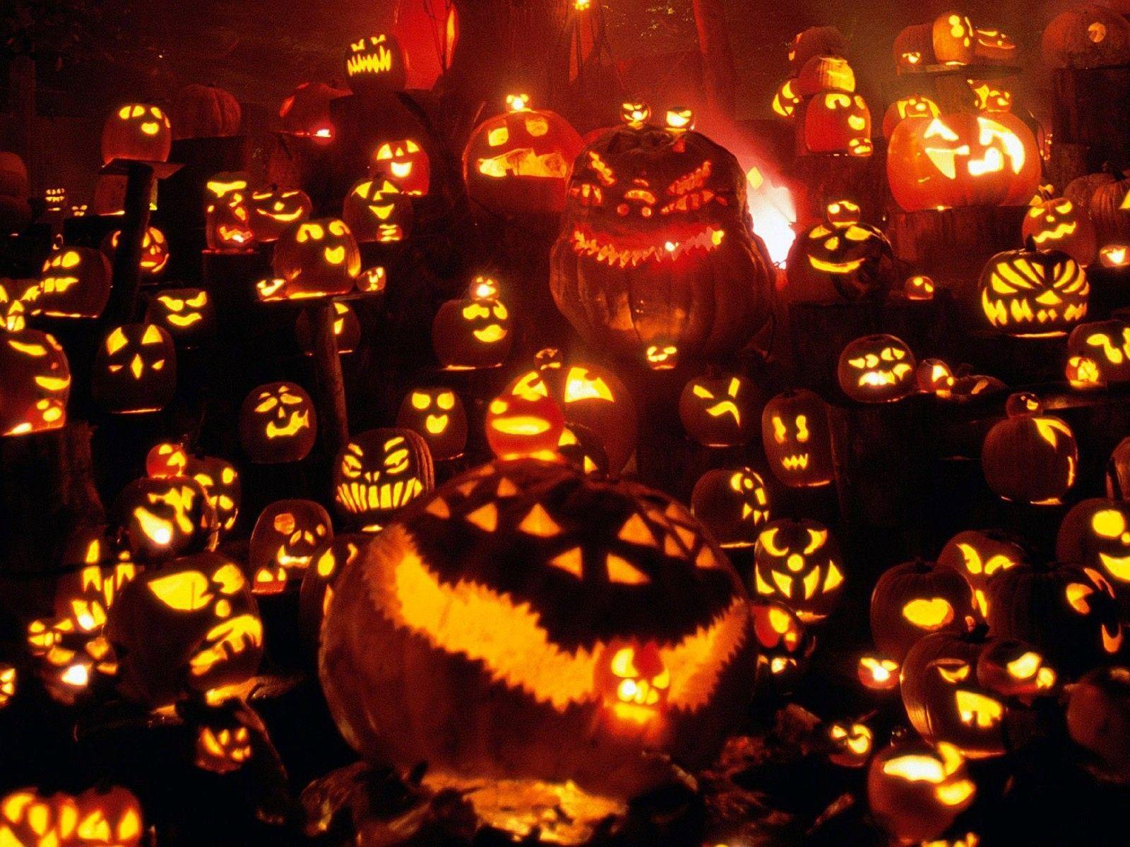 Halloween Pumpkins Festival HD Wallpaper