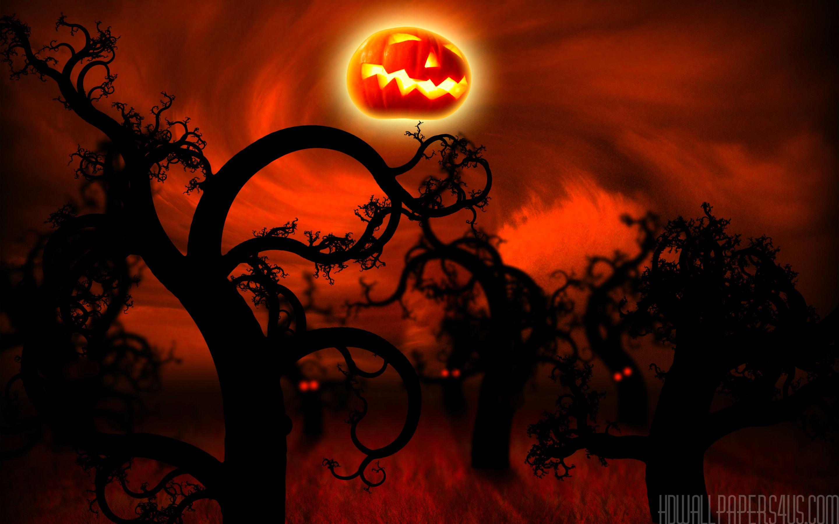Midnight Happy Halloween Wallpaper HD Wallpaper 4 USHD