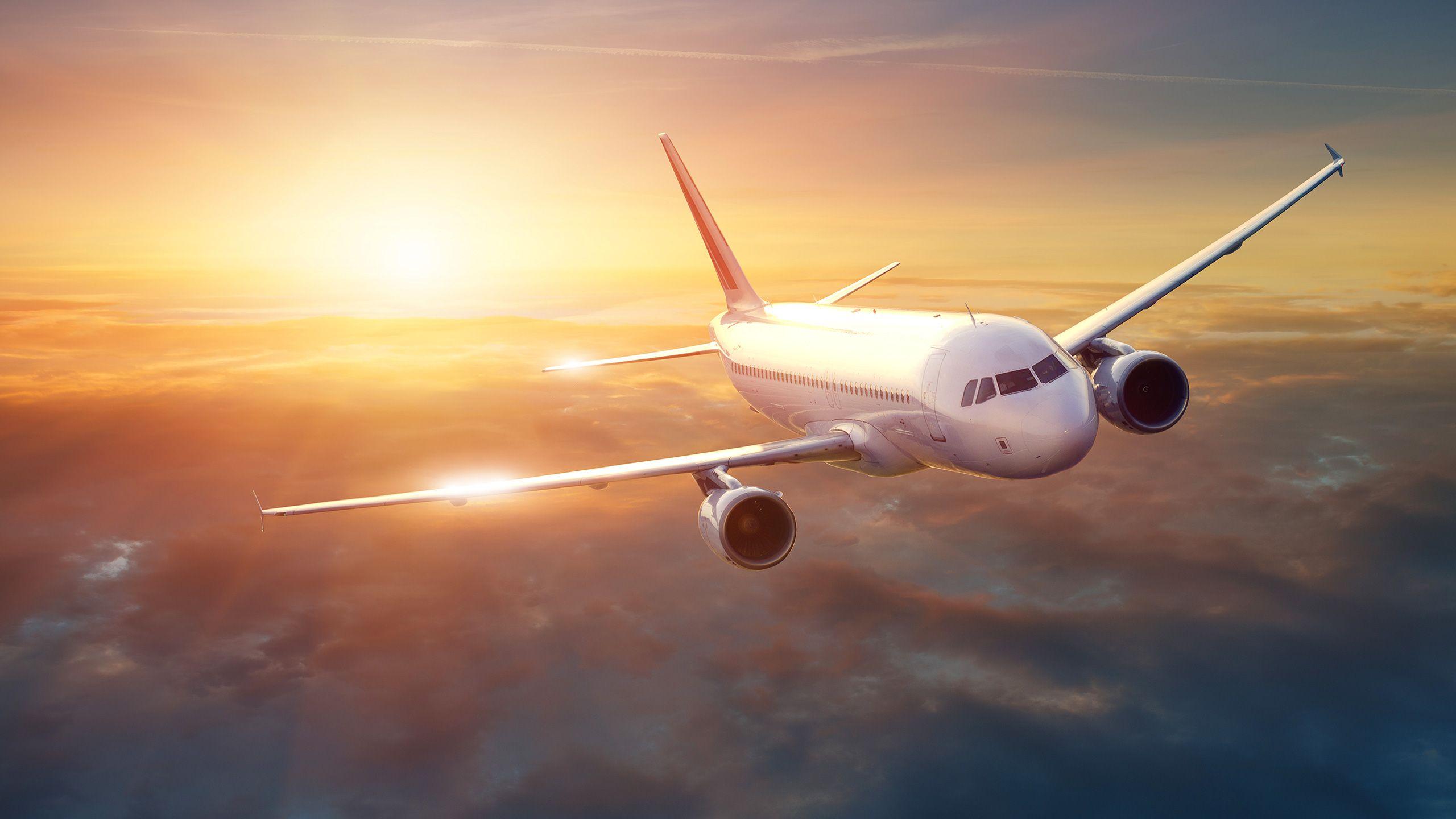 Economy Class Flights to Sri Lanka. Business Class Flights Deals to