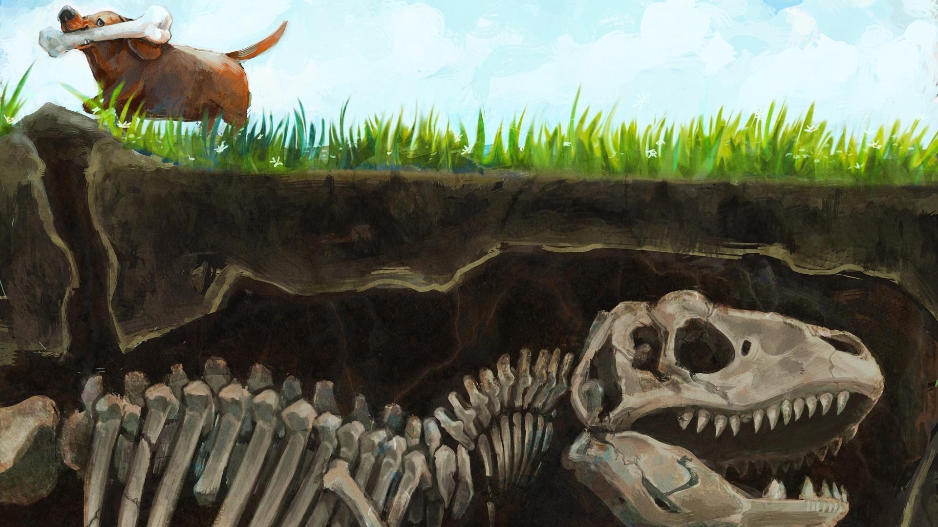 Dinosaurs humor dogs funny skeletons fossil bones wallpaper