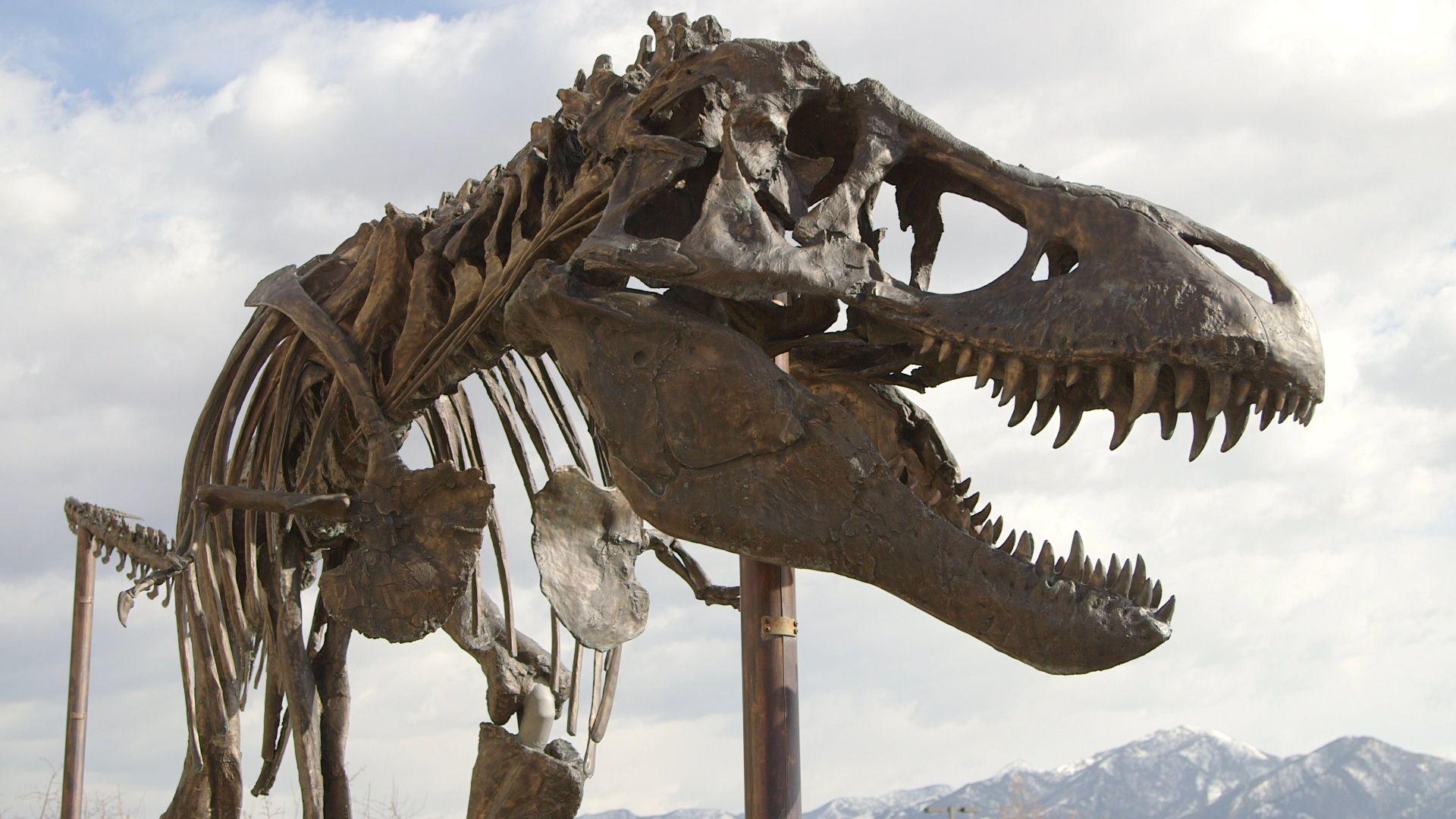 How a Giant <i>T. Rex</i> Packs for a Road Trip