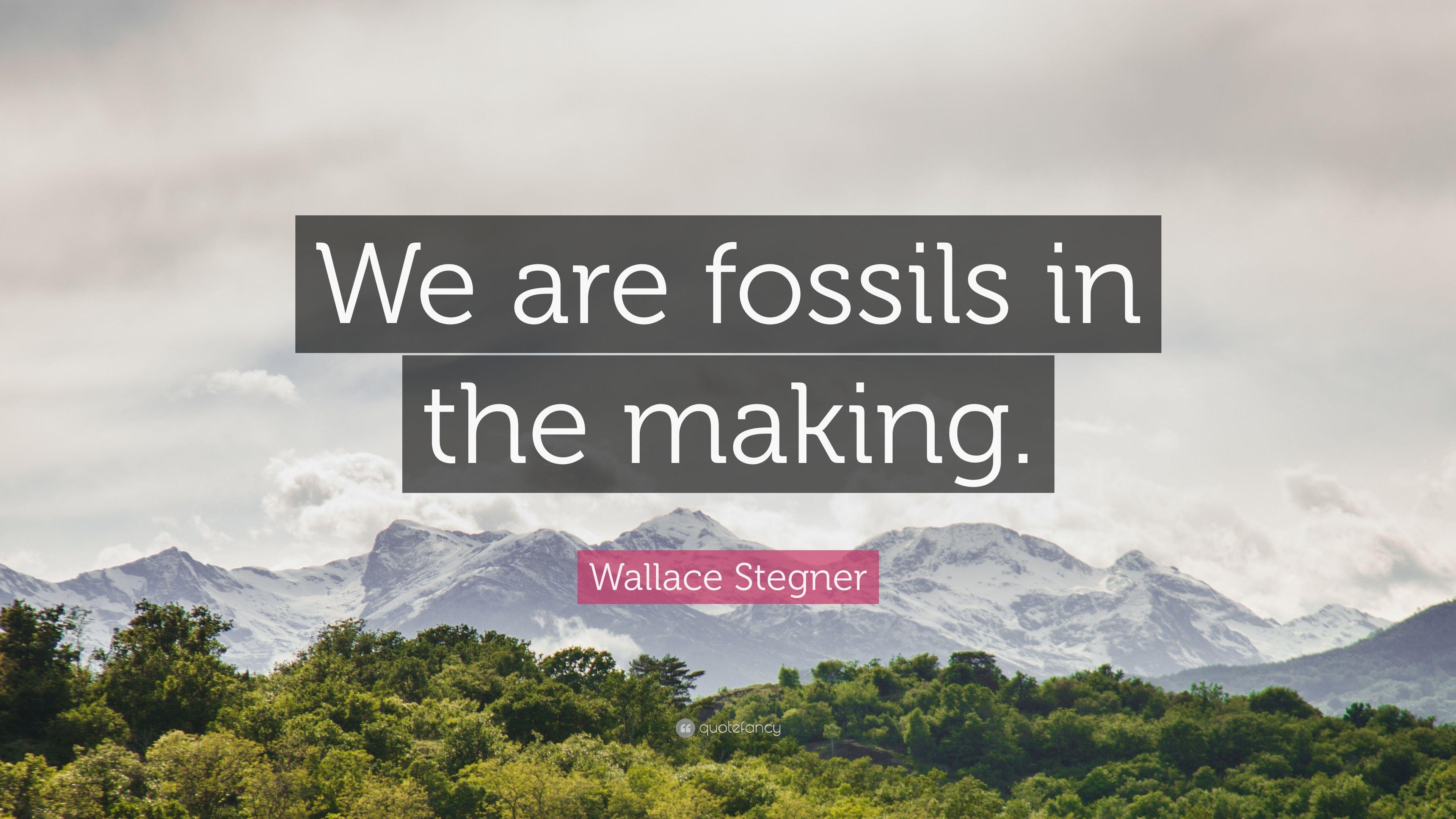 Wallace Stegner Quote: “We are fossils in the making.” 7 wallpaper