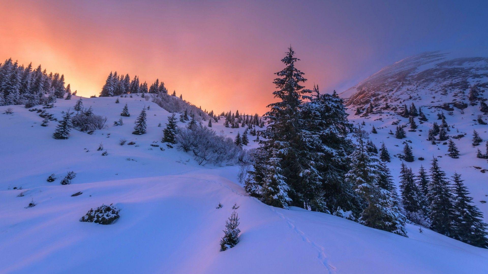 Winter Mountains In The Sunset Wallpaper. Wallpaper Studio 10
