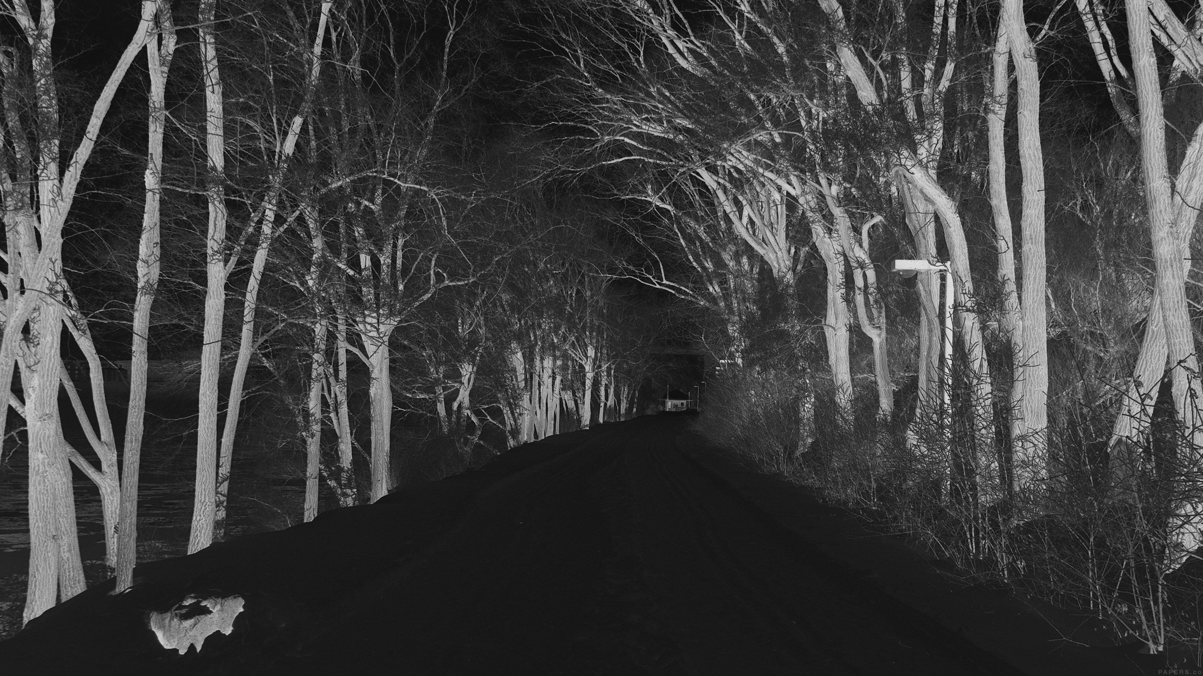 Winter Scary Road Nature Mountain Dark