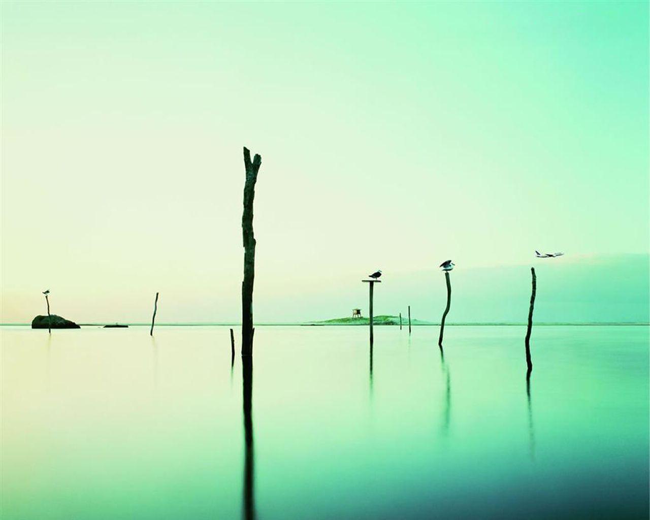 Horrific wallpaper wallpaper