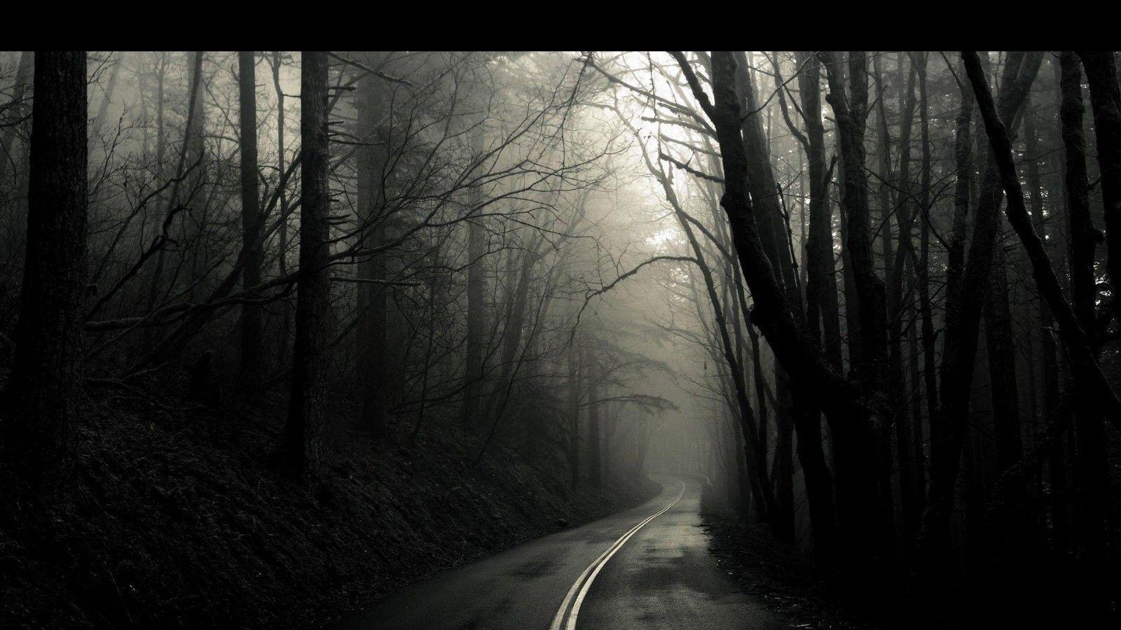 dark, #eerie, #trees, #road. Wallpaper No. 251819