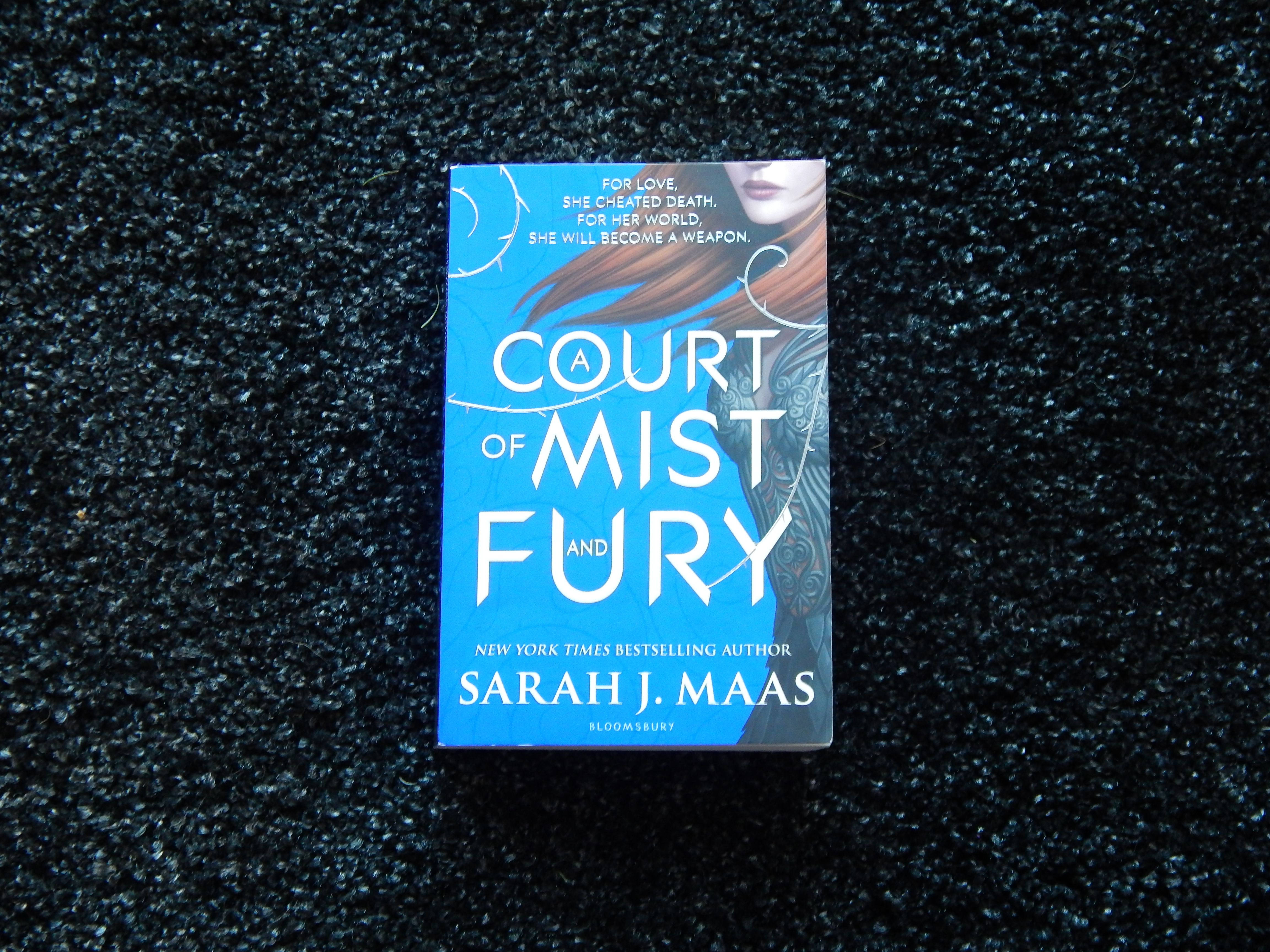 REVIEW: A Court of Mist and Fury Northern Gal