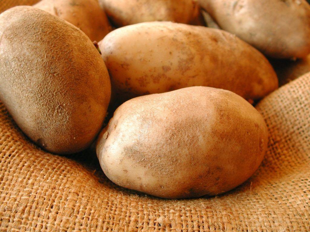 Potato Wallpaper 6 X 768