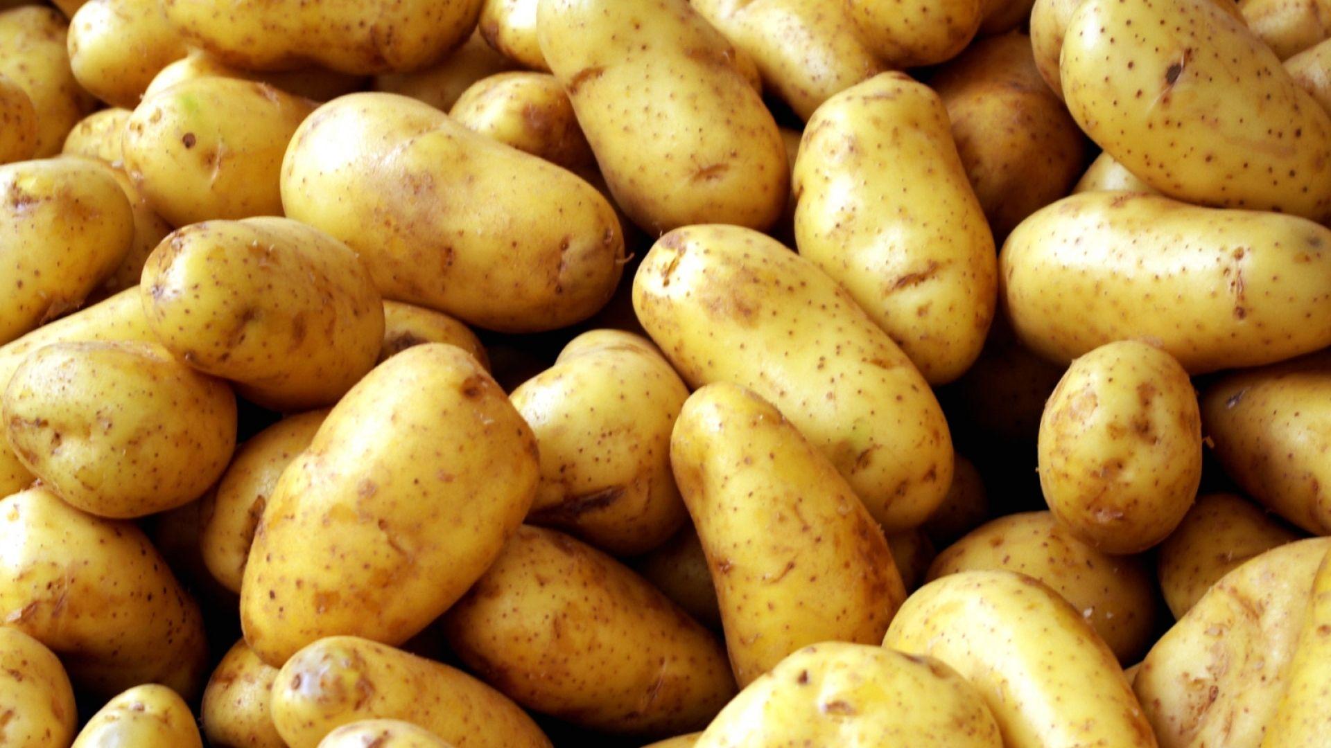 Potato Wallpaper 9 X 1080