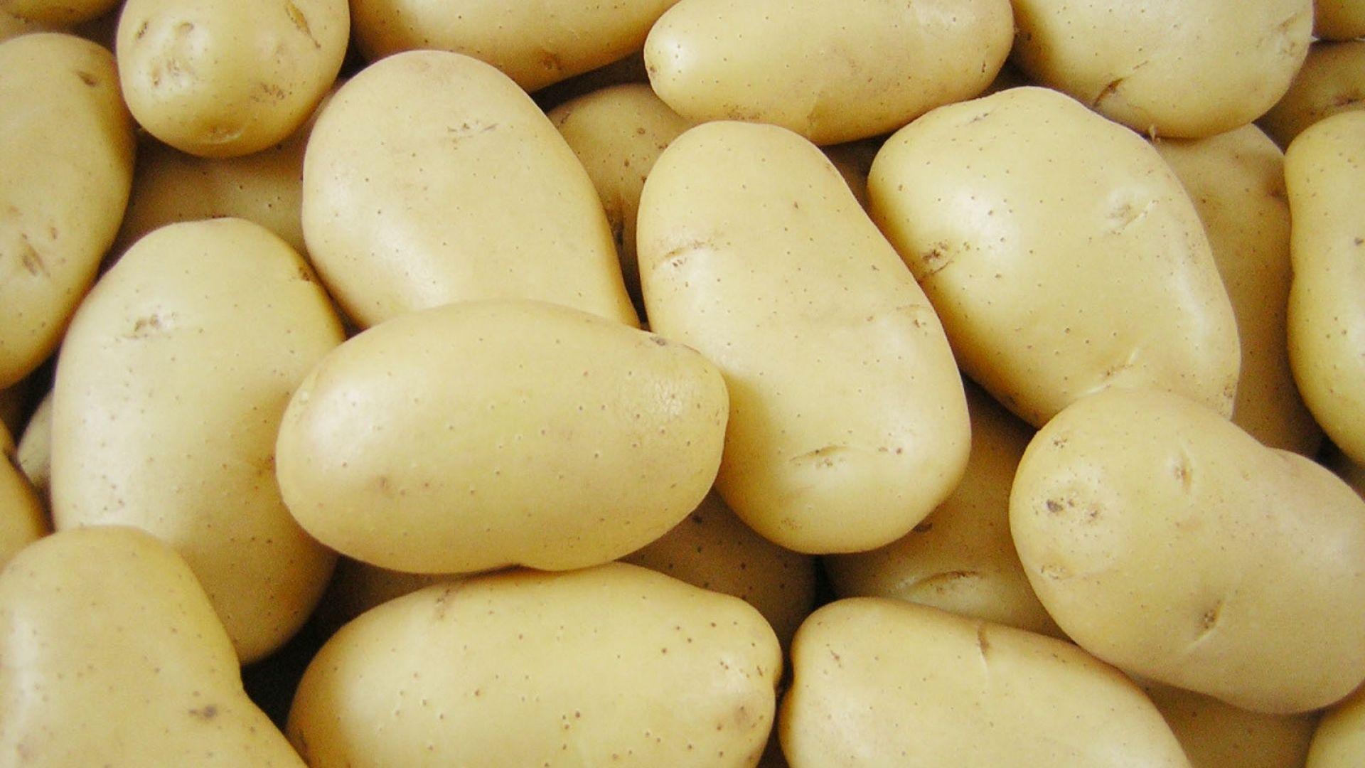 Potato Wallpaper 17 X 1080
