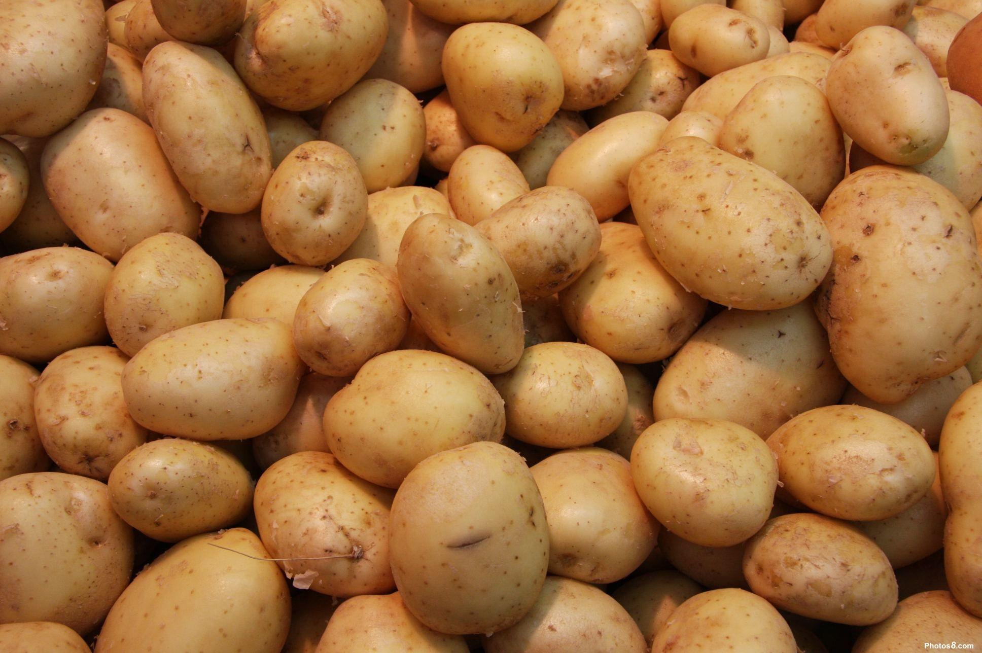 Potato Wallpaper 21 X 1288
