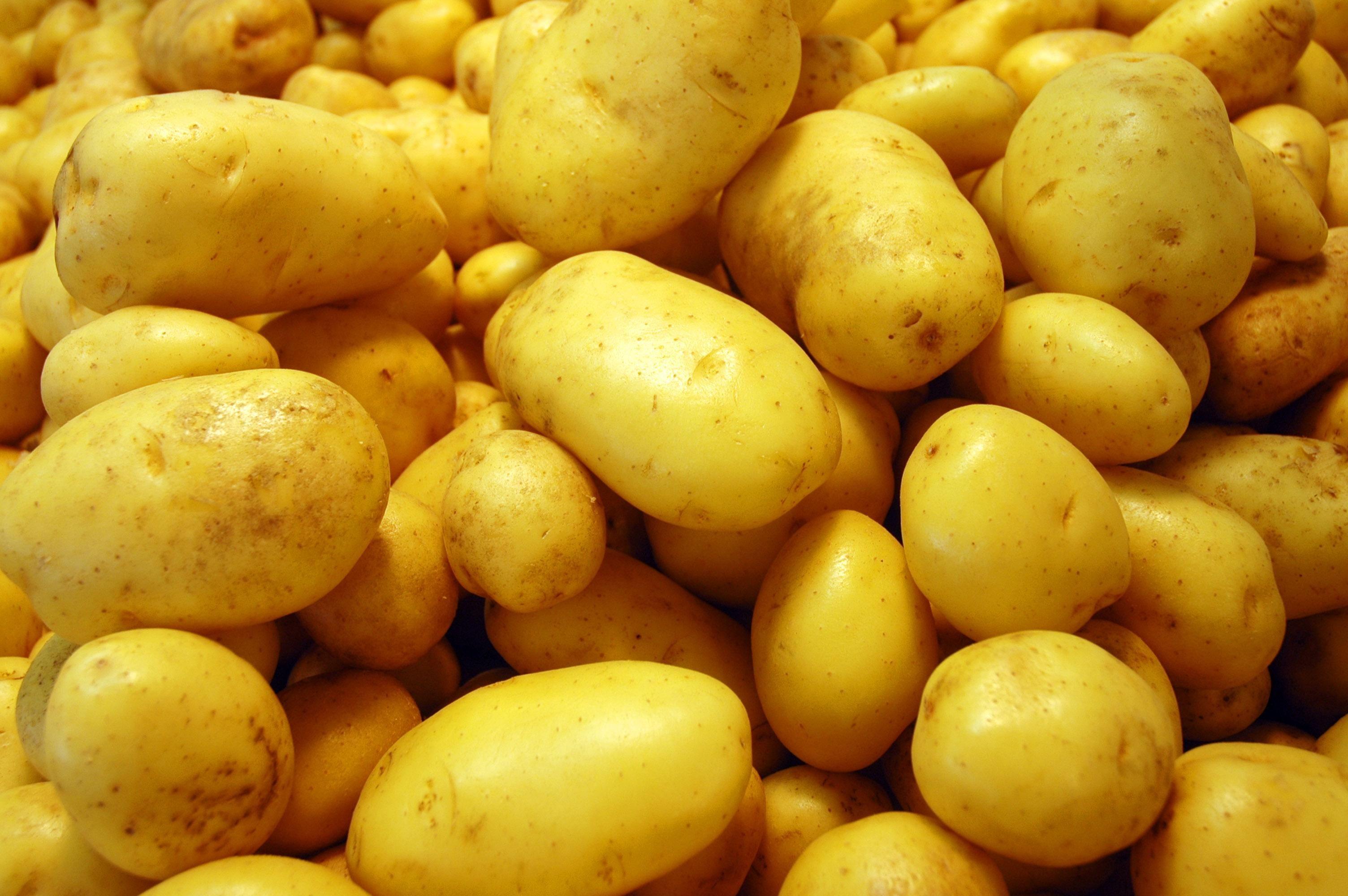 Potato Wallpaper. (63++ Wallpaper)