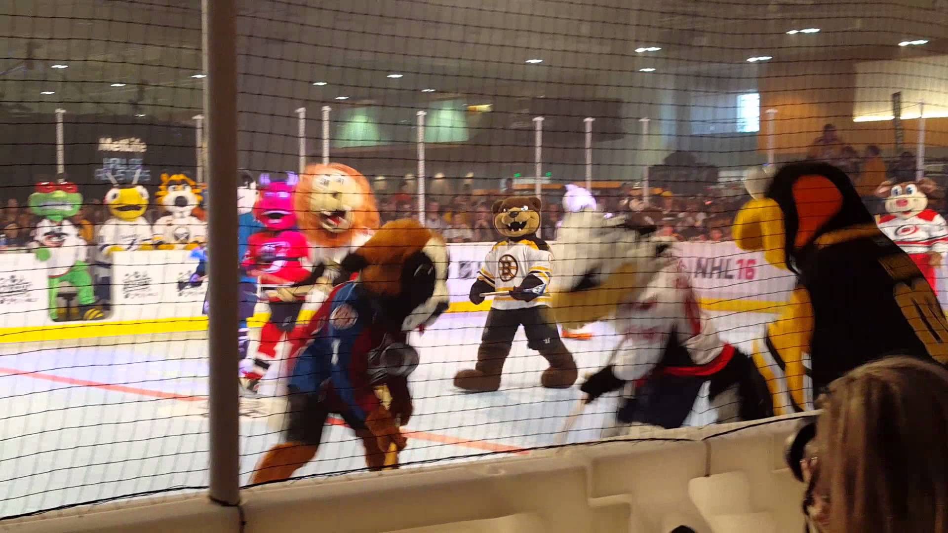 NHL Mascot Competition Ball, TN 2016 NHL