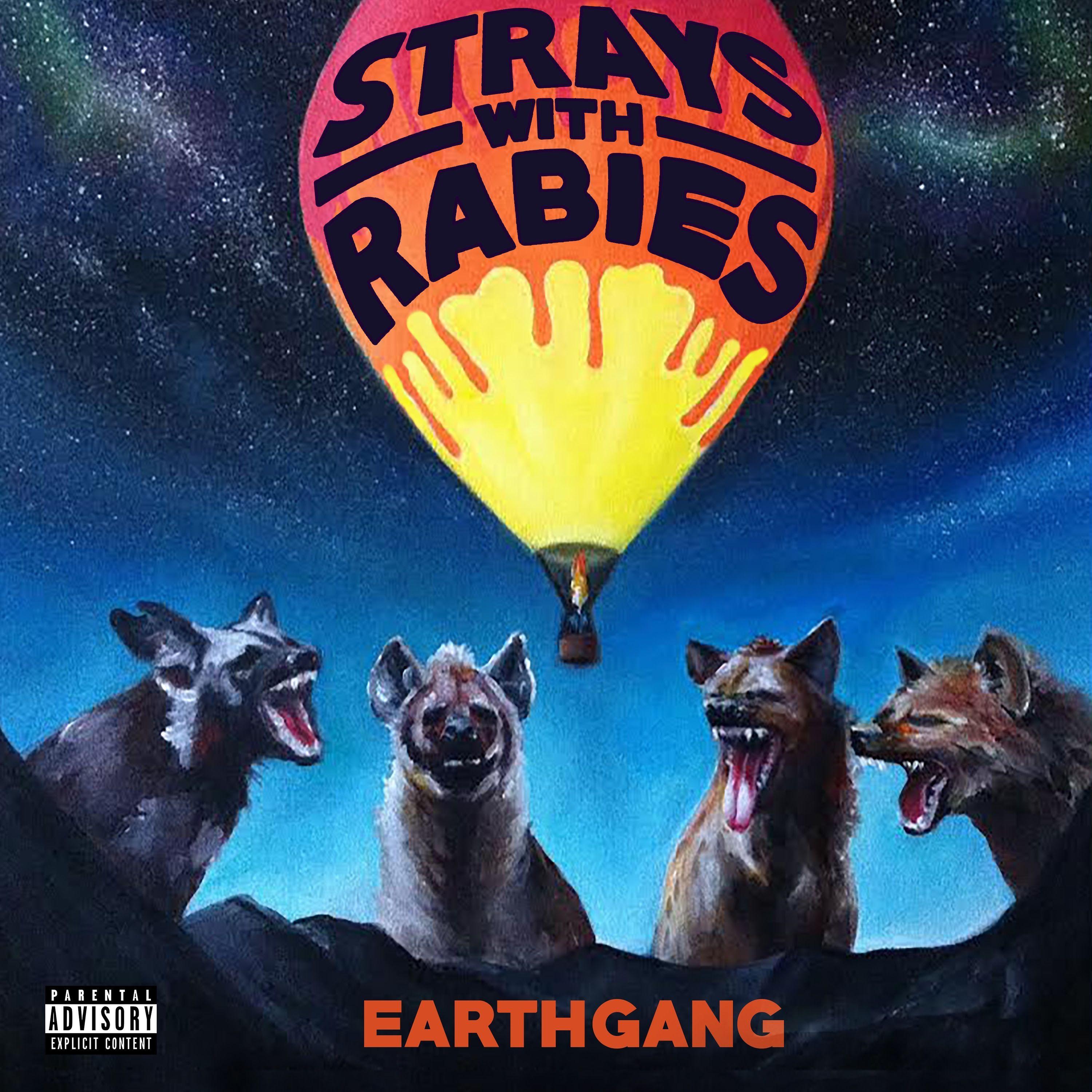 EARTHGANG Drops New Project “Strays With Rabies