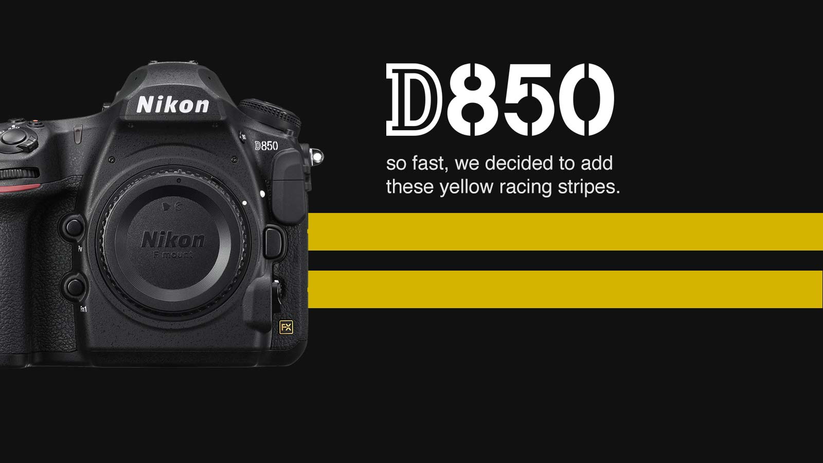 Nikon D850 New. Looking Glass Photo