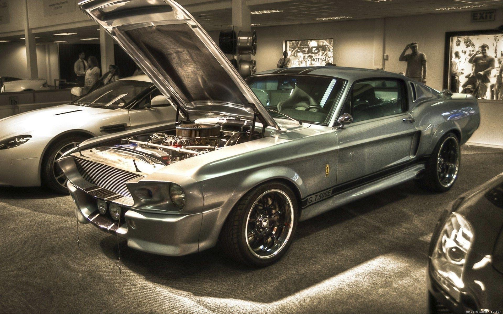 Eleanor Wallpaper background picture