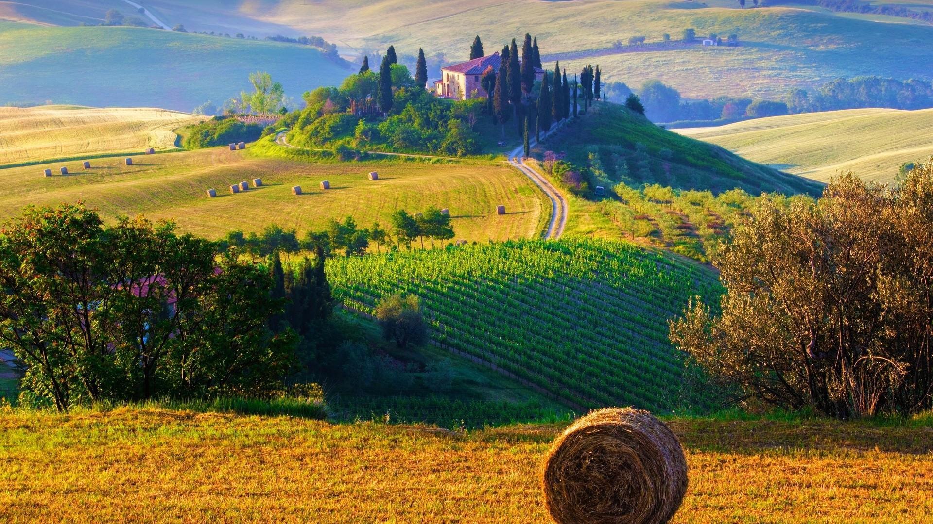 Farmers' fields in Italy wallpaper and image