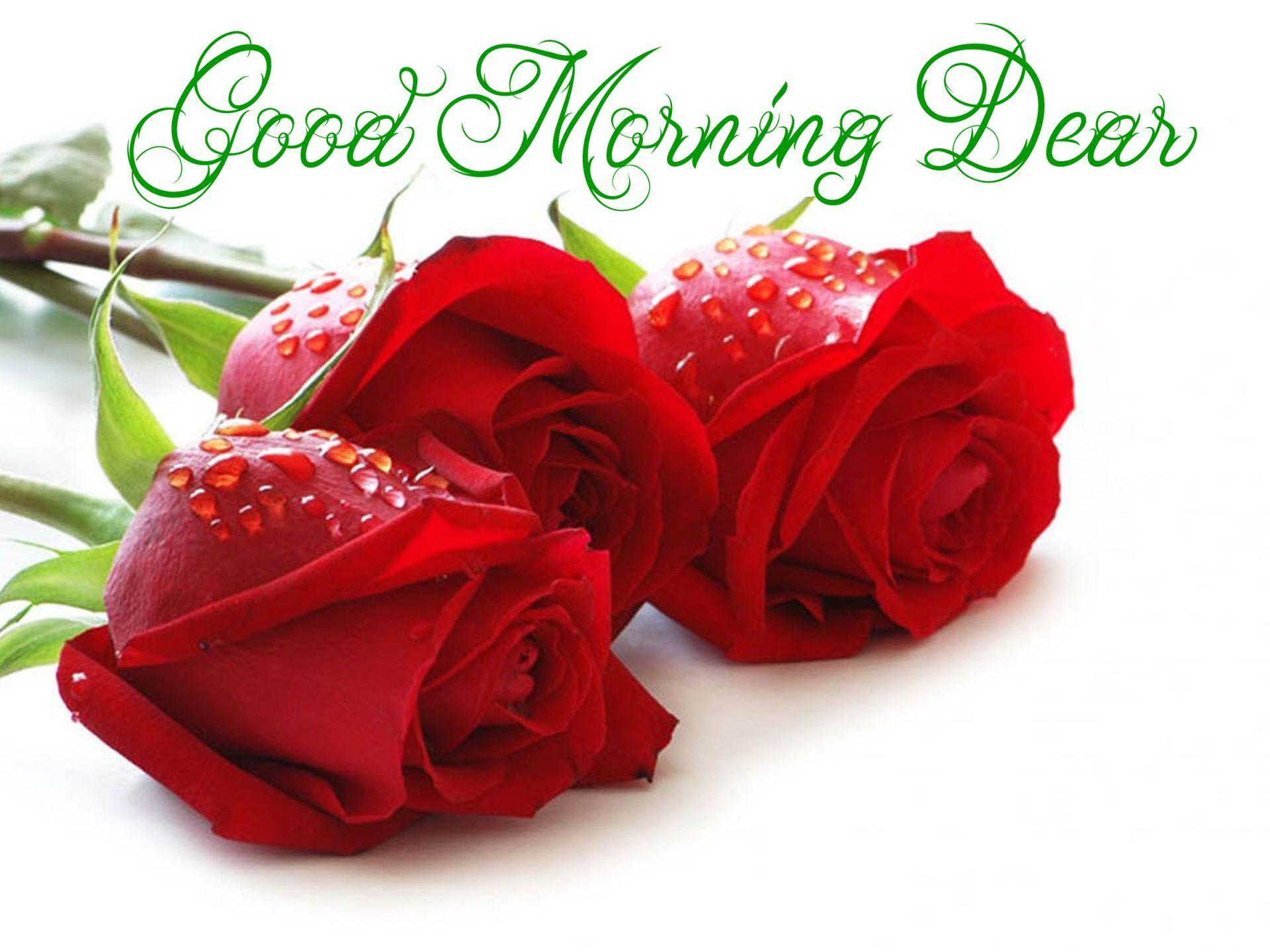 Good Morning Rose Bouquet Images