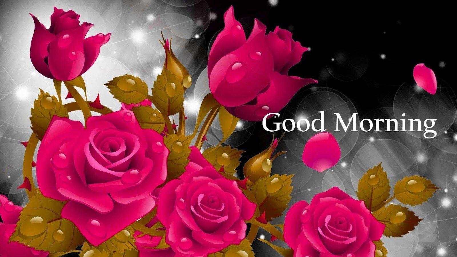 Good Morning Image with Rose. Rose flower wallpaper, Wallpaper nature flowers, Red flower wallpaper