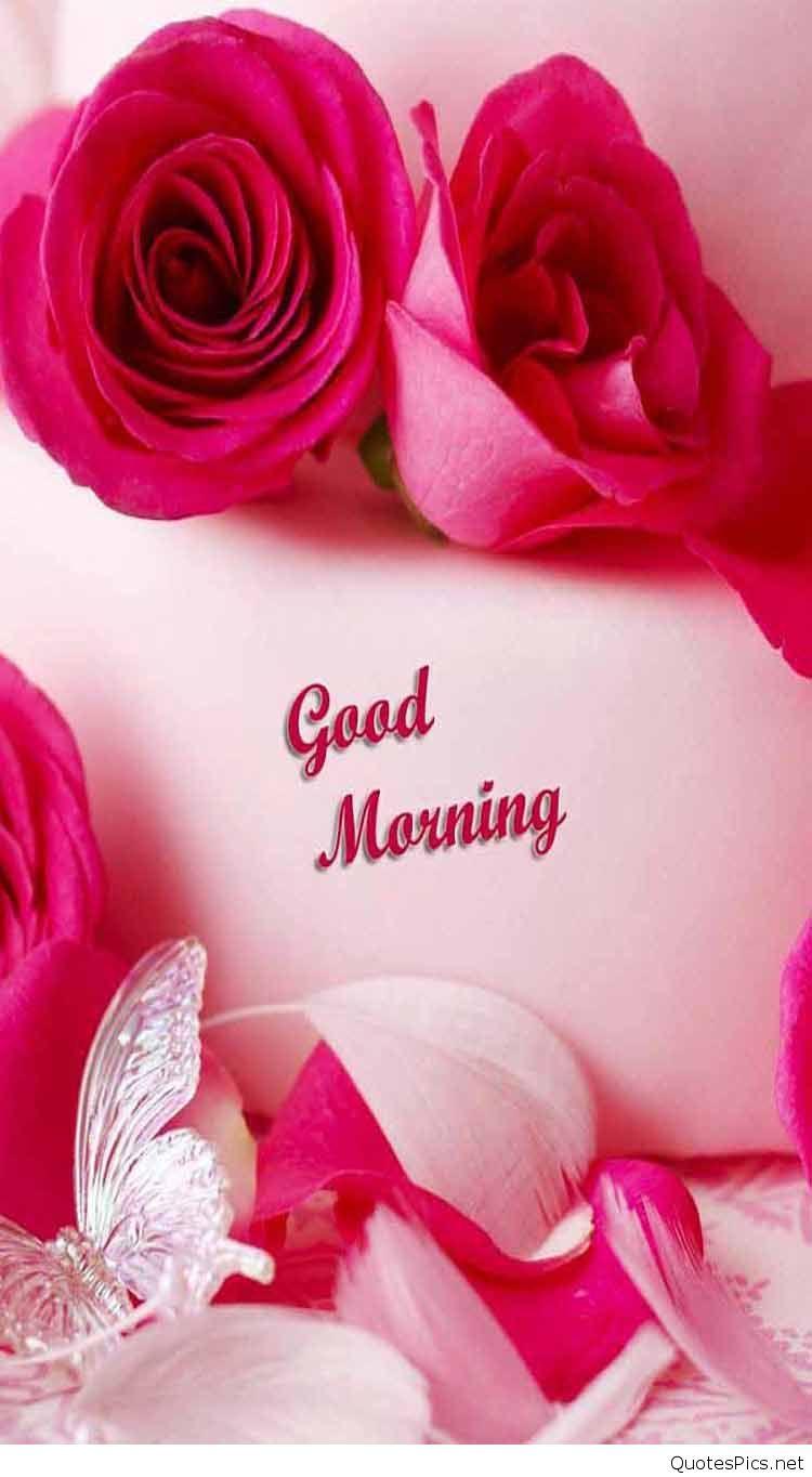 Good Morning Rose Flower Wish Friends Pics Mojly Image Good Morning