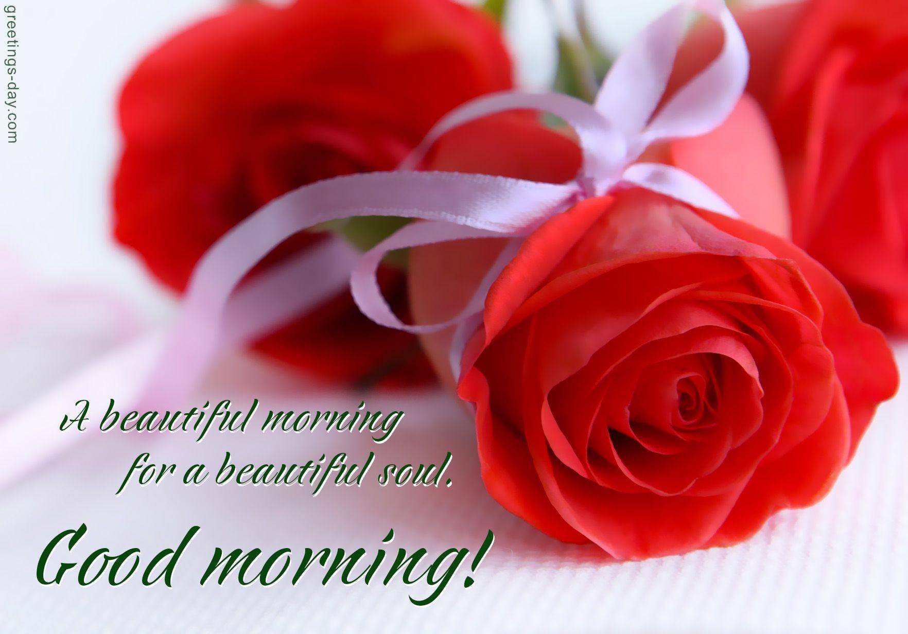Good Morning Rose Flower Wish Image