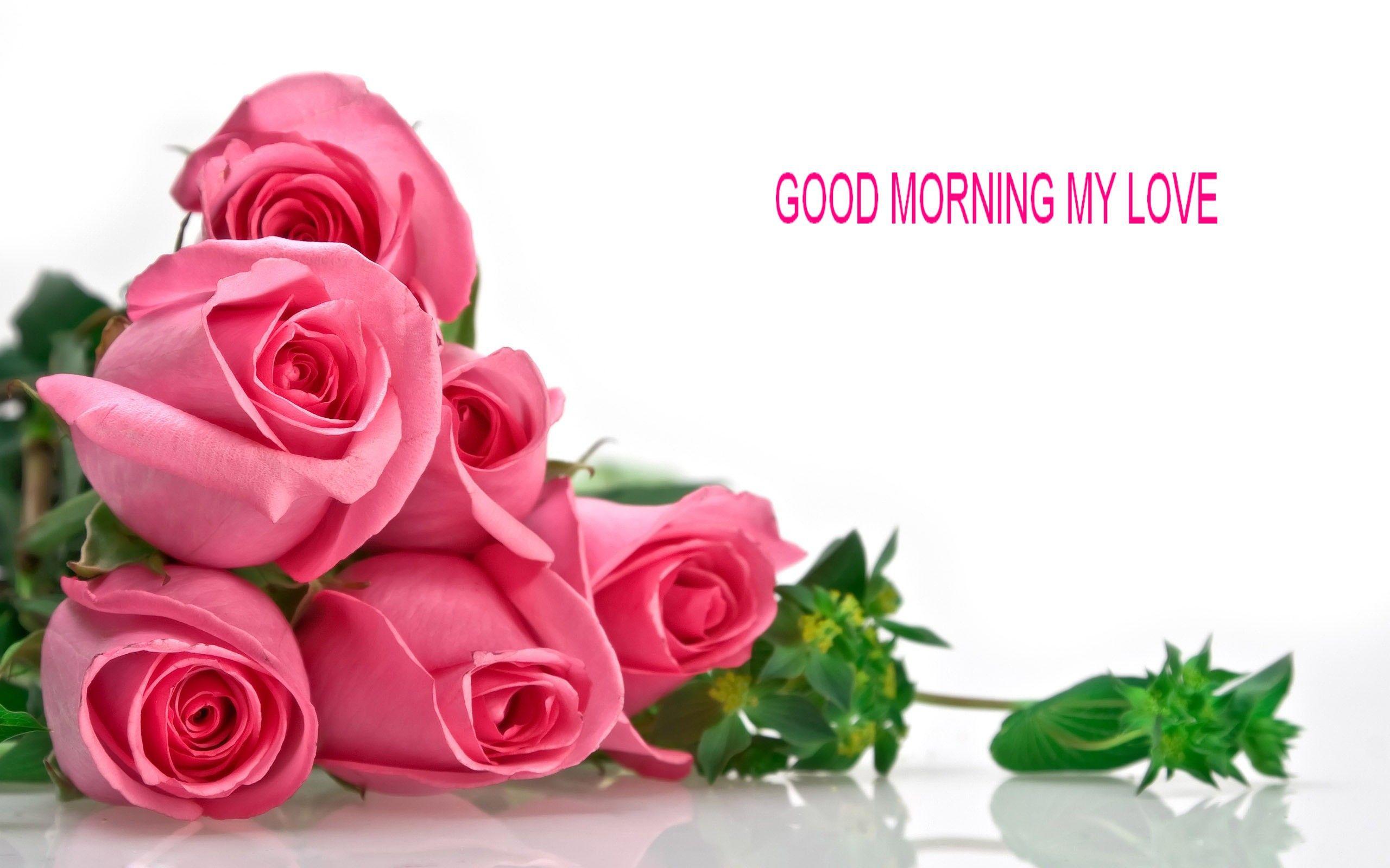 Good Morning Rose Wallpapers Wallpaper Cave