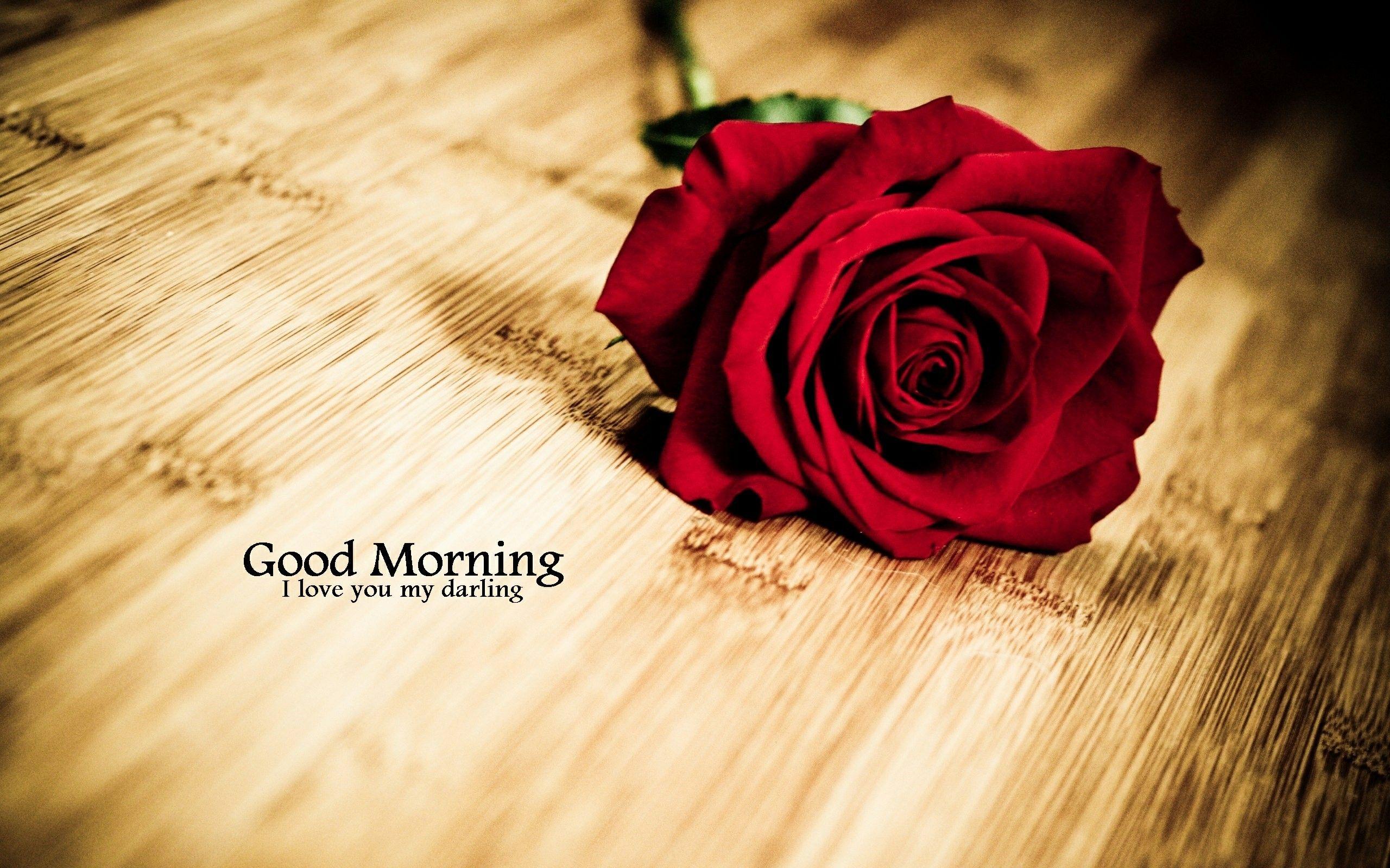 good morning love red roses