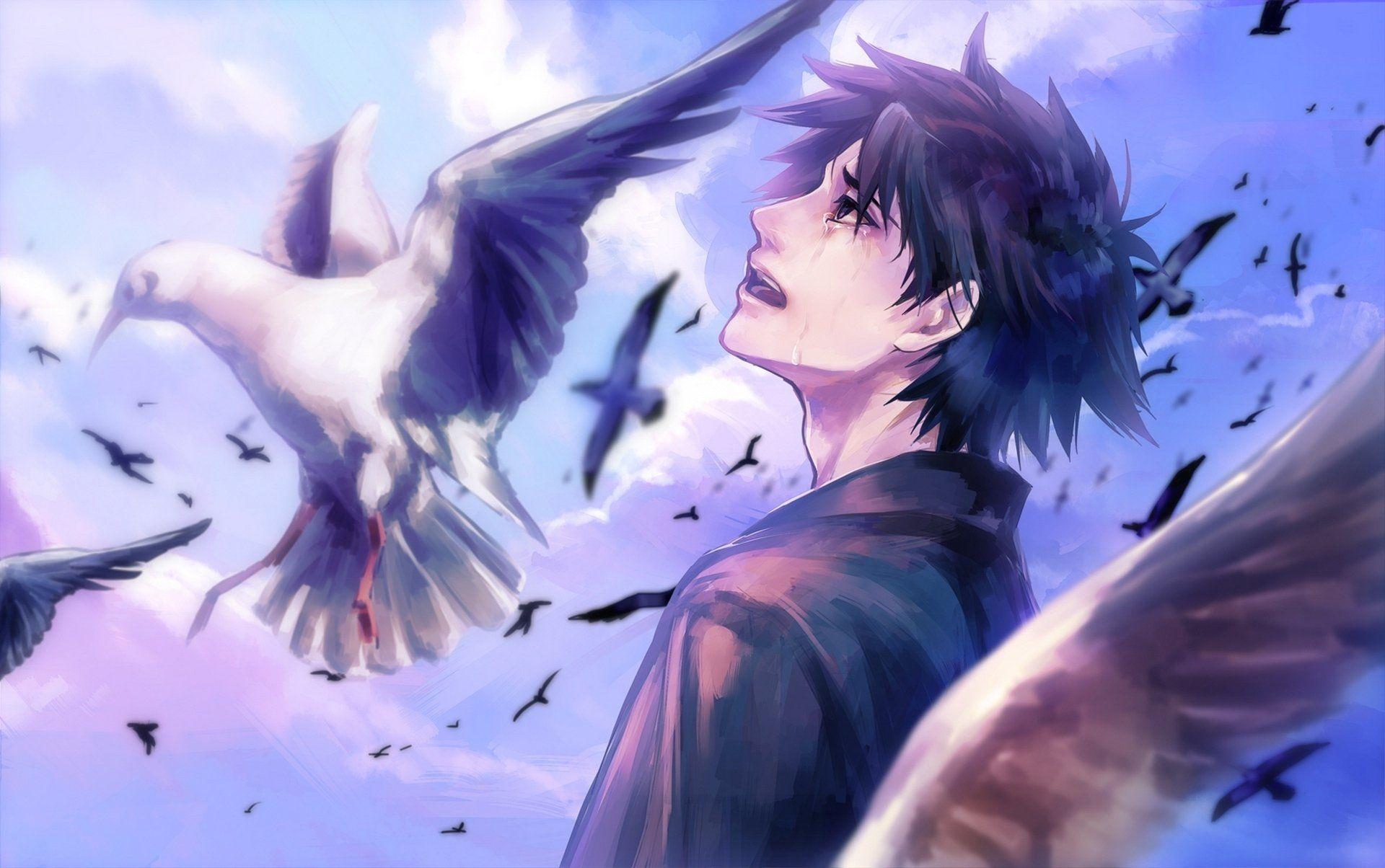 Anime boy cry bird clouds sky wallpaperx1204