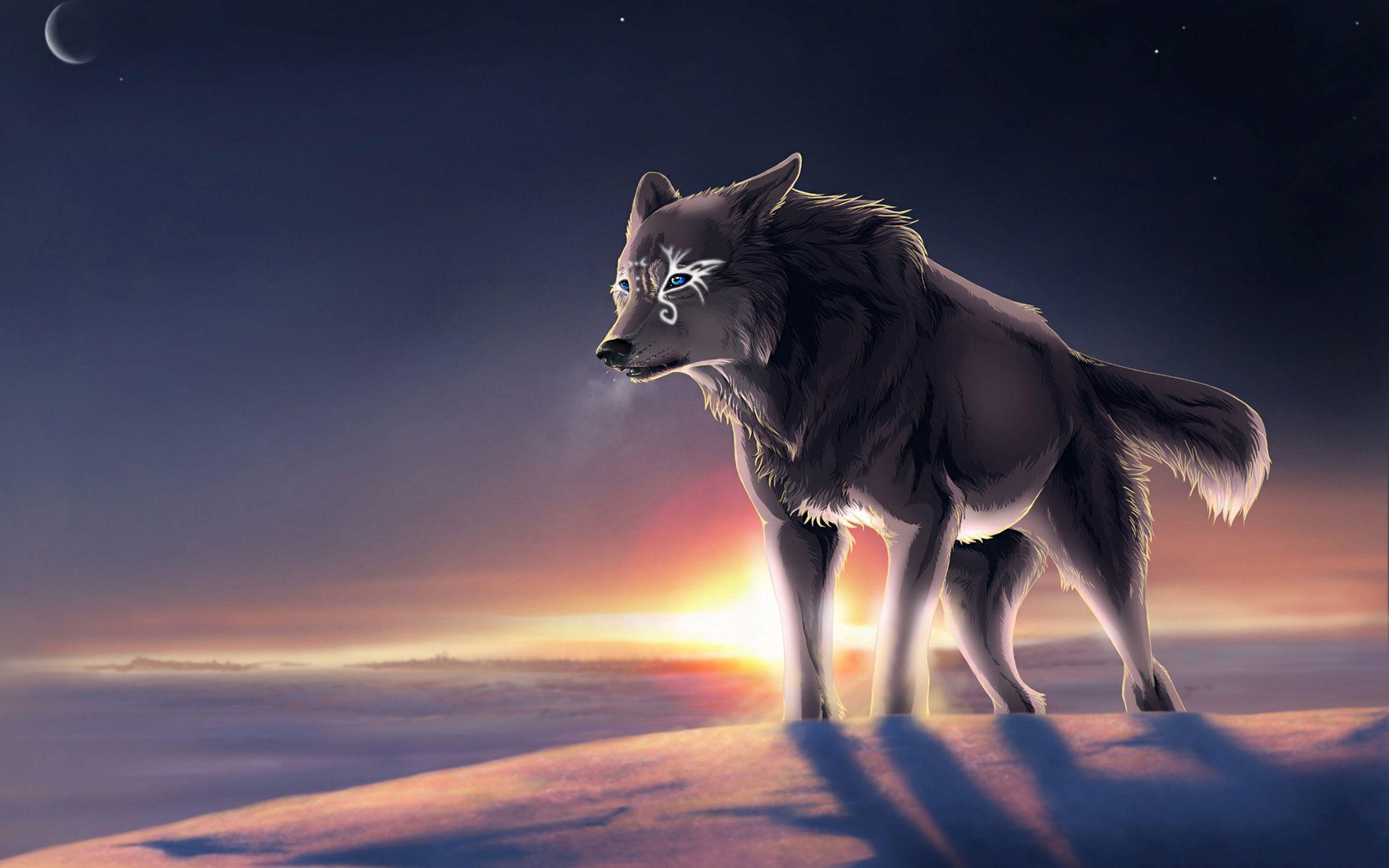 Anime Wolf Wallpaper background picture