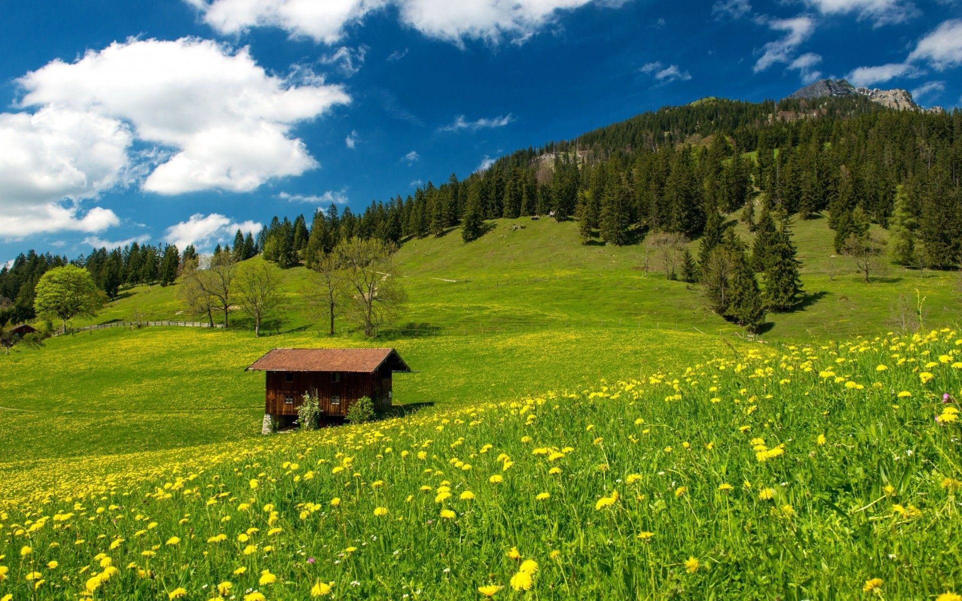 Pasture in the Bavarian Alp. Android wallpaper for free