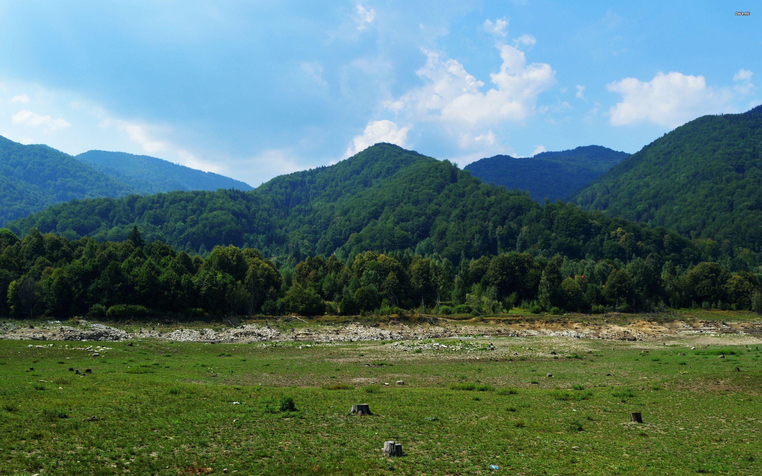 Pasture and mountains in Poiana Marului wallpaper