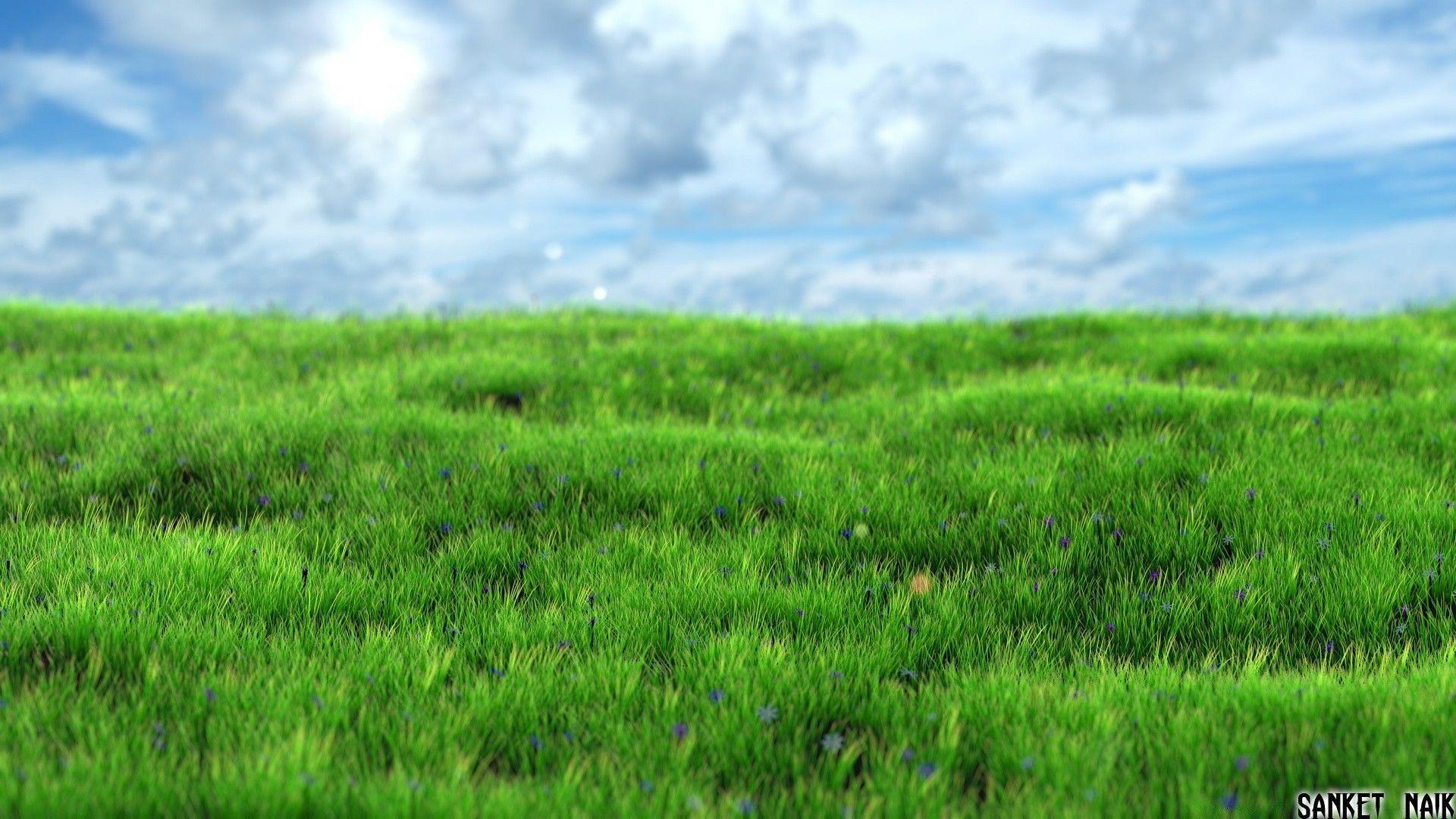 Realistic Grass. Android wallpaper for free