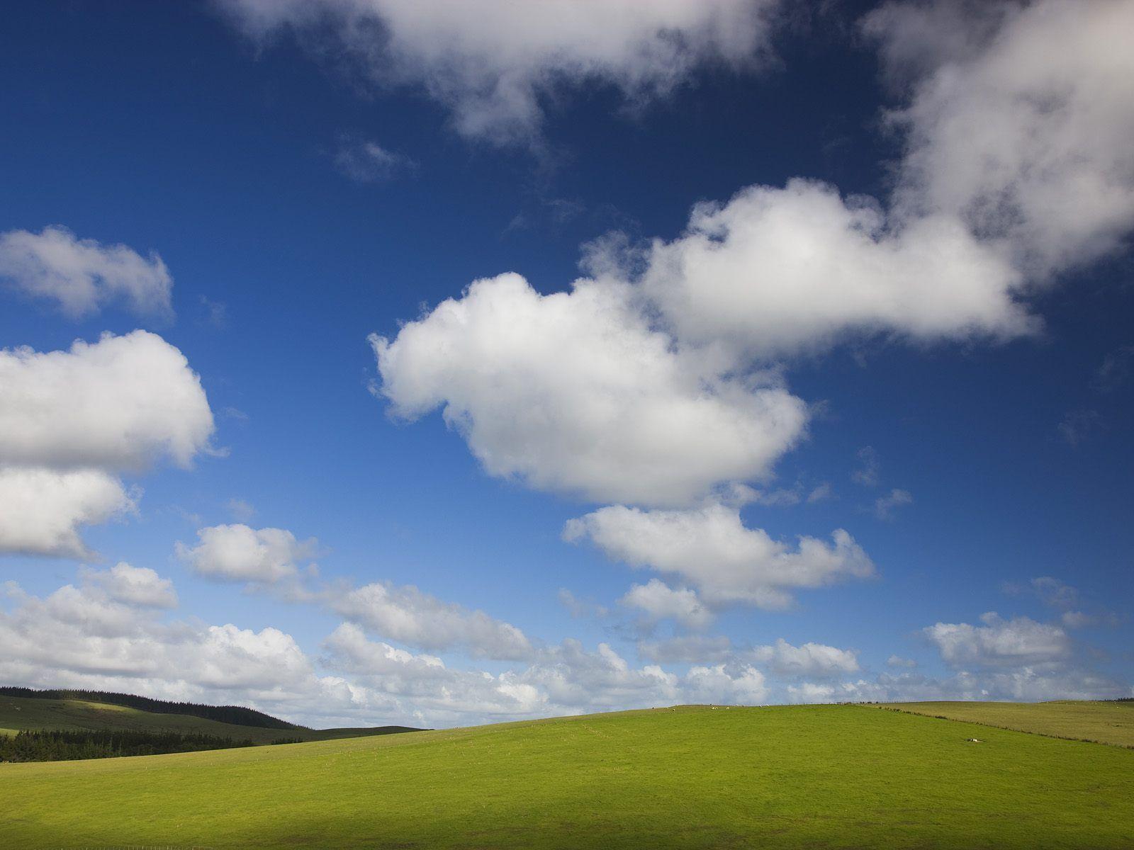 Blue Skies and Green Pastures Wallpaper