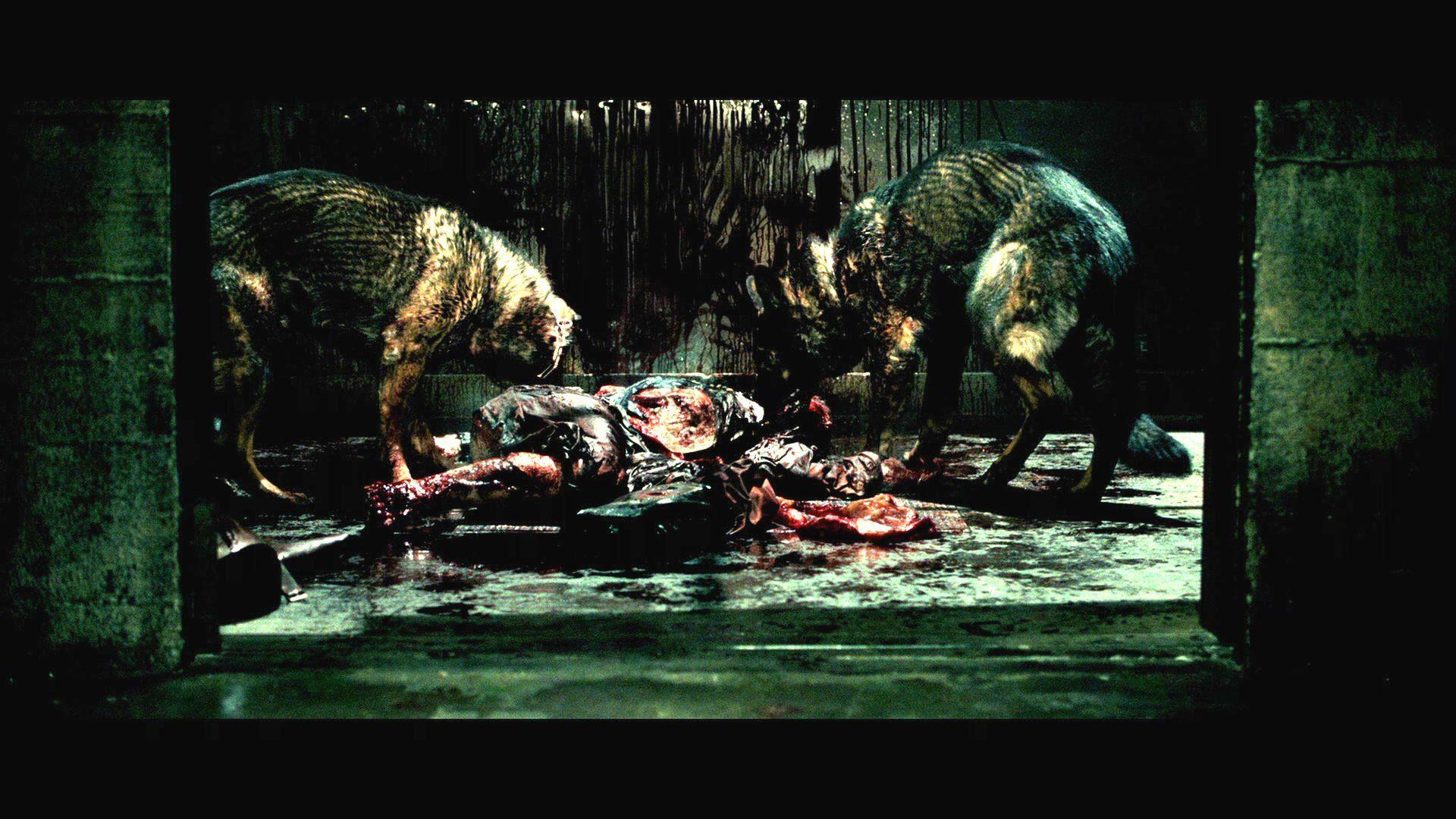 HOSTEL horror dark scary creepy wallpaperx1080