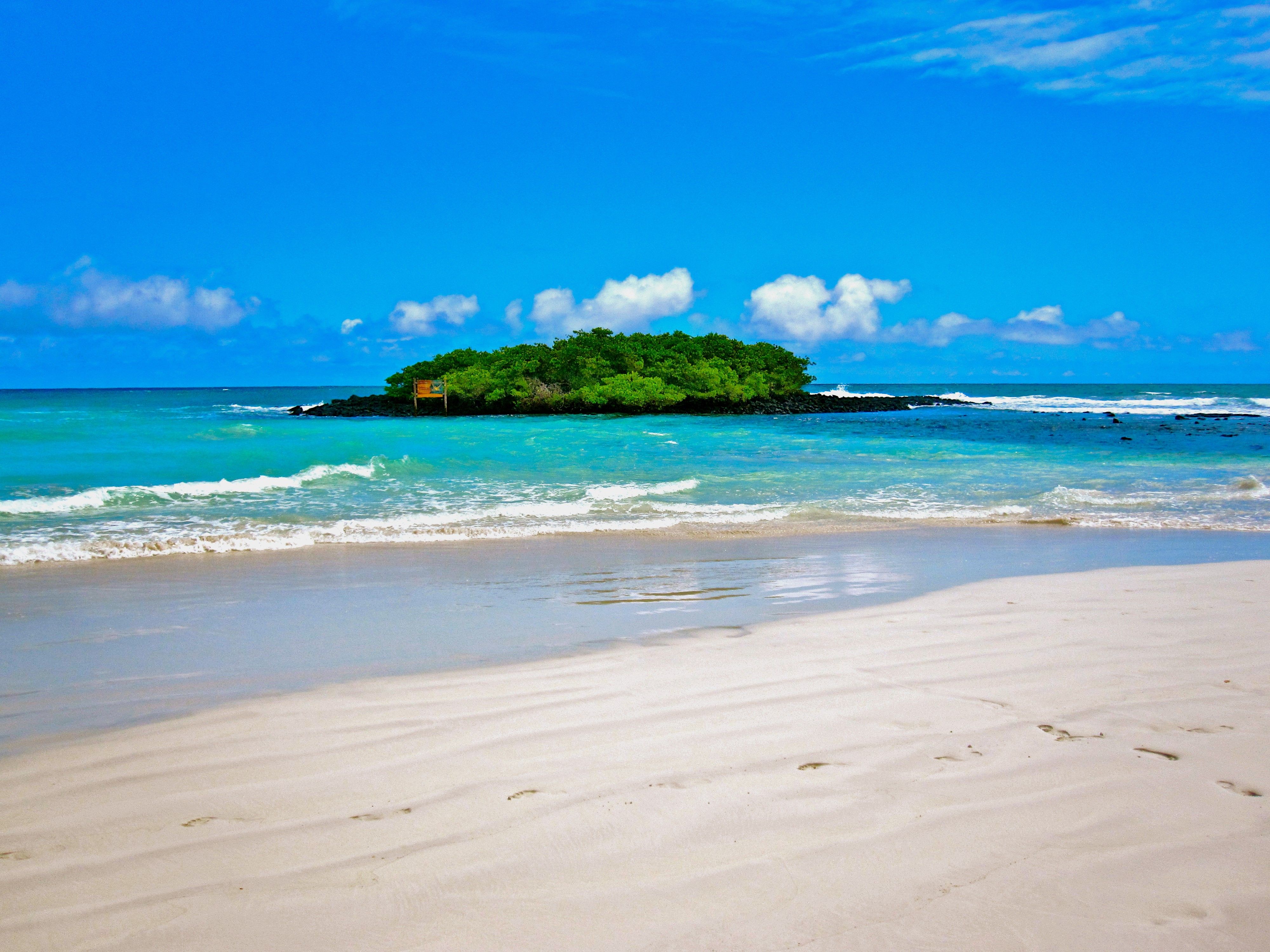 Beach: White Calm Blue Green Private Galapagos Islands Beach Ocean