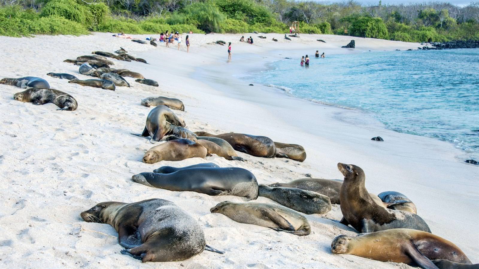 Cruise In The Galapagos Islands, July 8