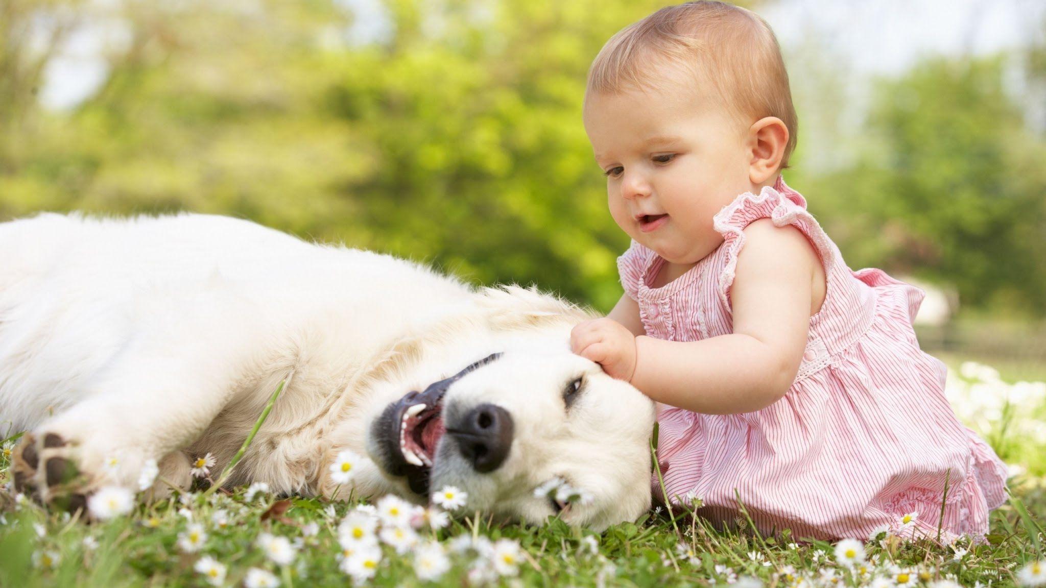 Dogs And Babies Wallpapers - Wallpaper Cave