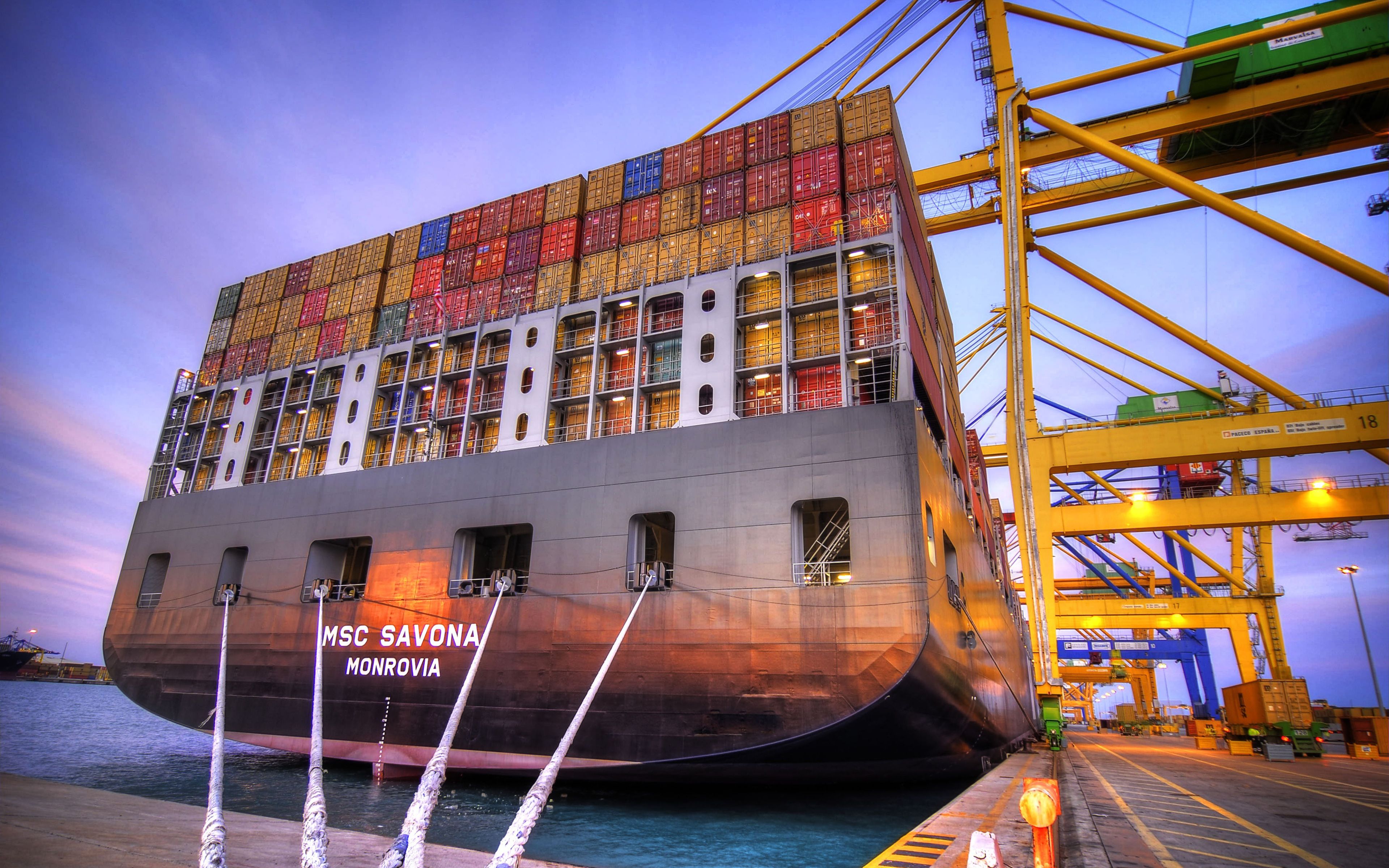 Download wallpaper MSC Savona, 4k, cargo ship, cargo transport