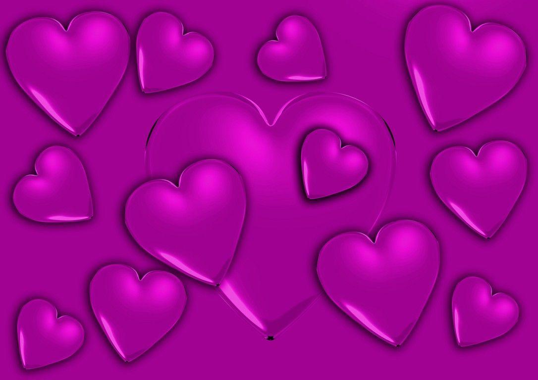 Purple Hearts Quality Image