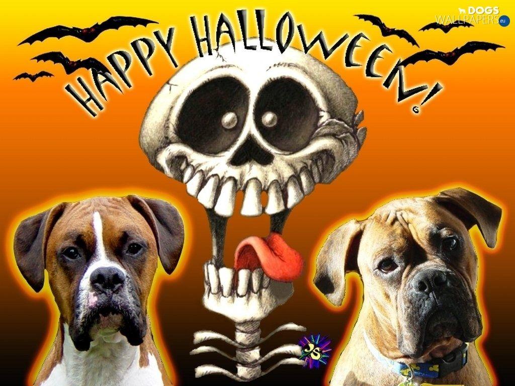 Halloween Zoom Background Dogs